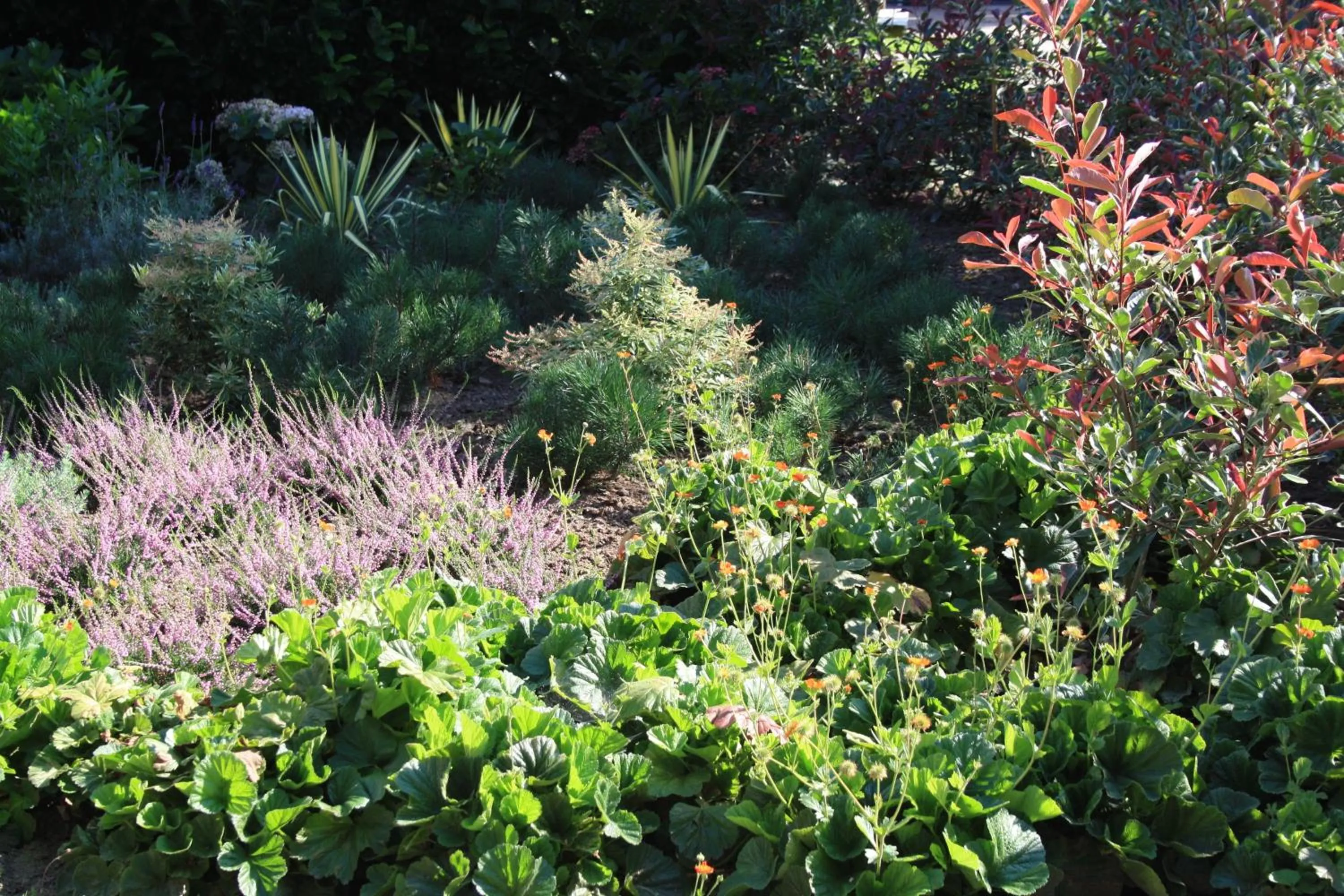 On site in Biedermeier