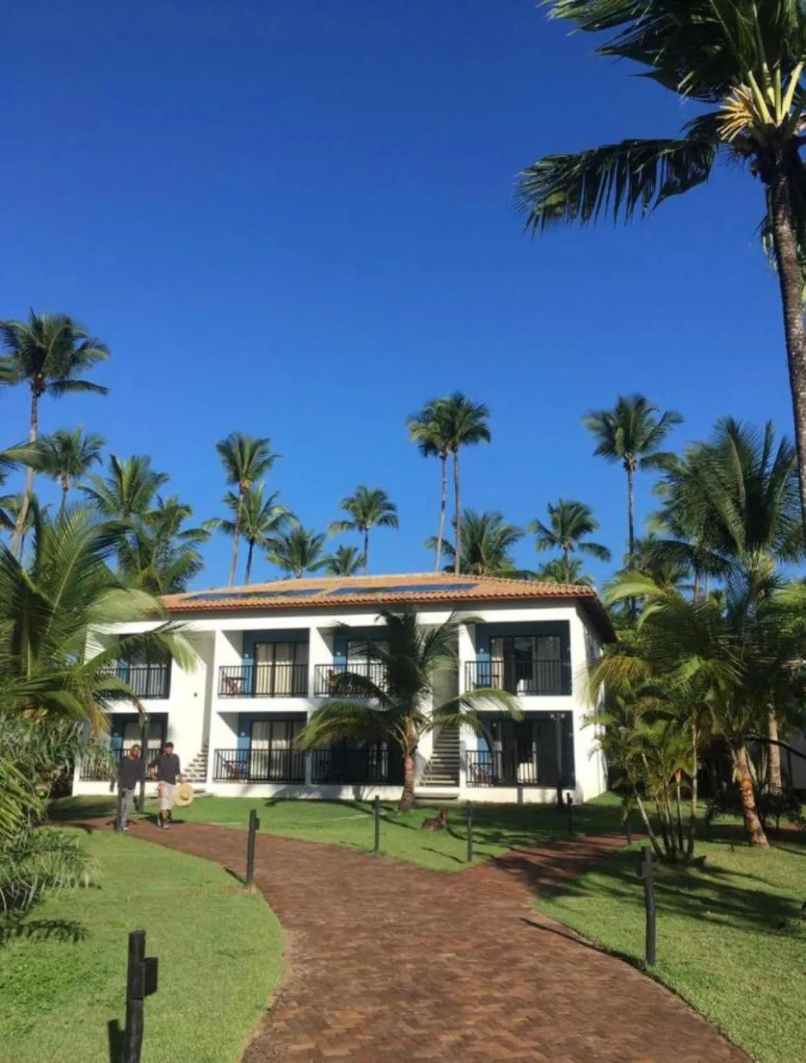 Garden in Vivant Eco Beach Resort