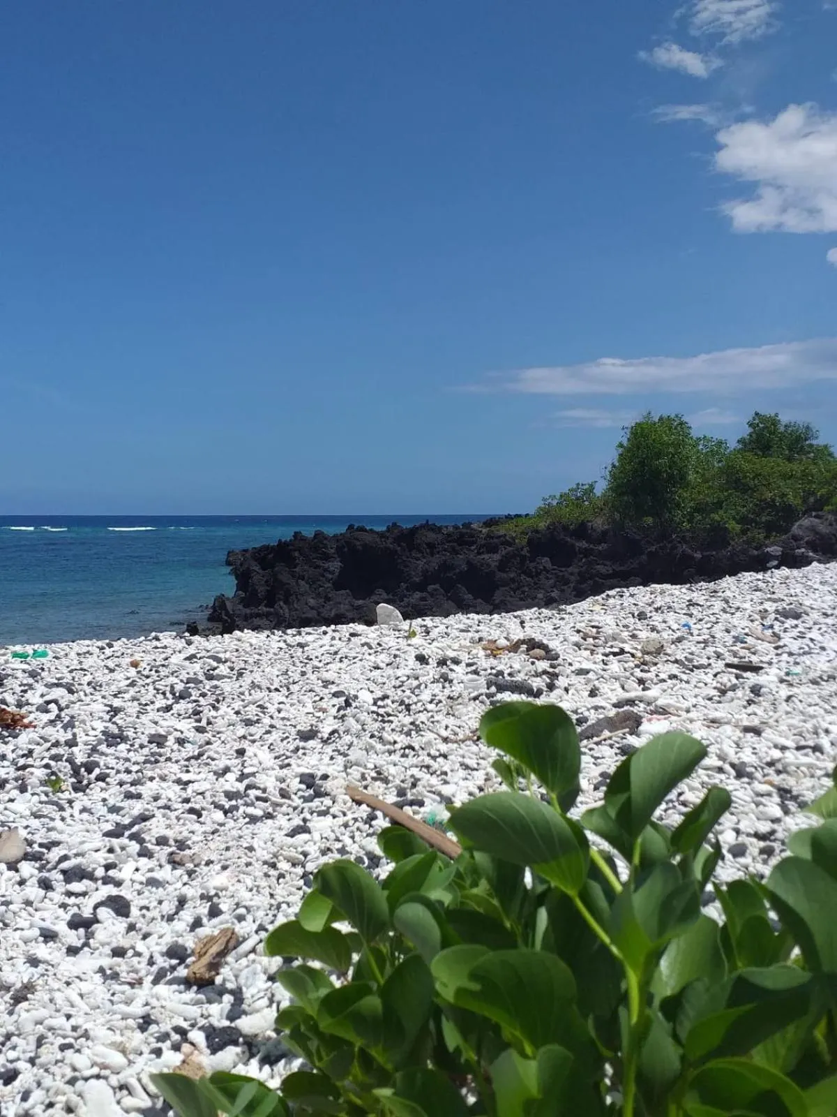 Natural landscape in Chalets Chomoni