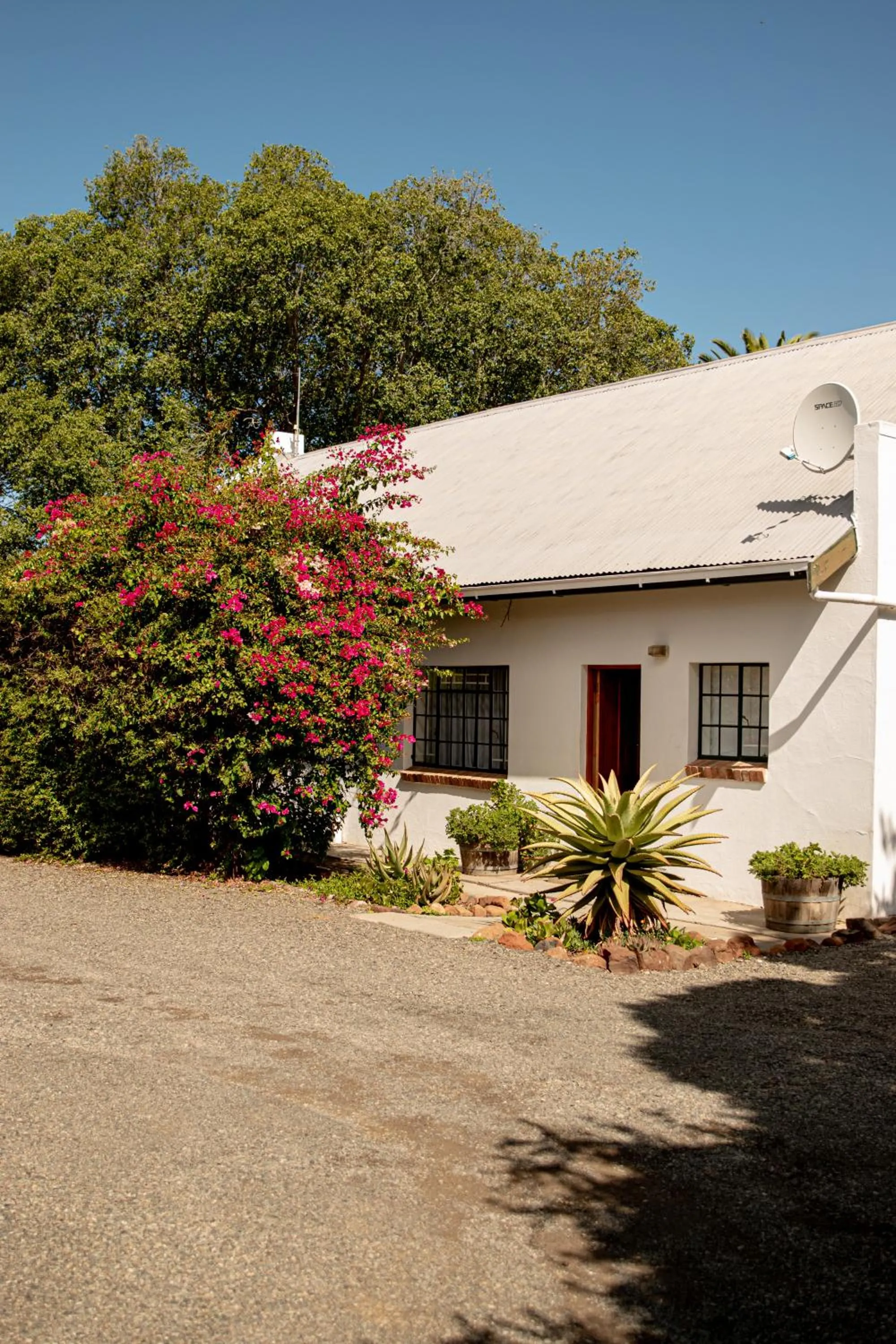 Property building in 4 Rothman Street B&B