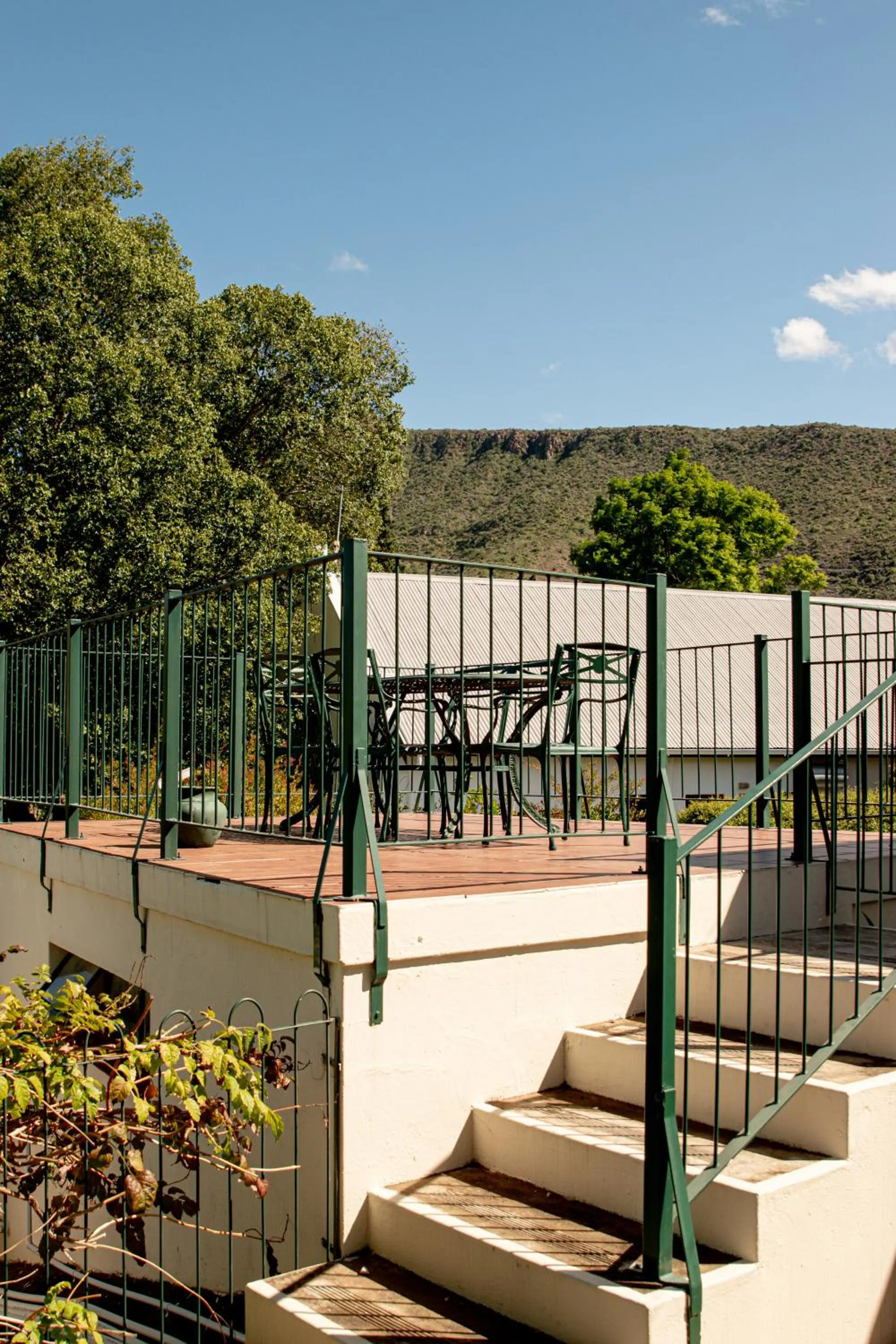 Patio in 4 Rothman Street B&B