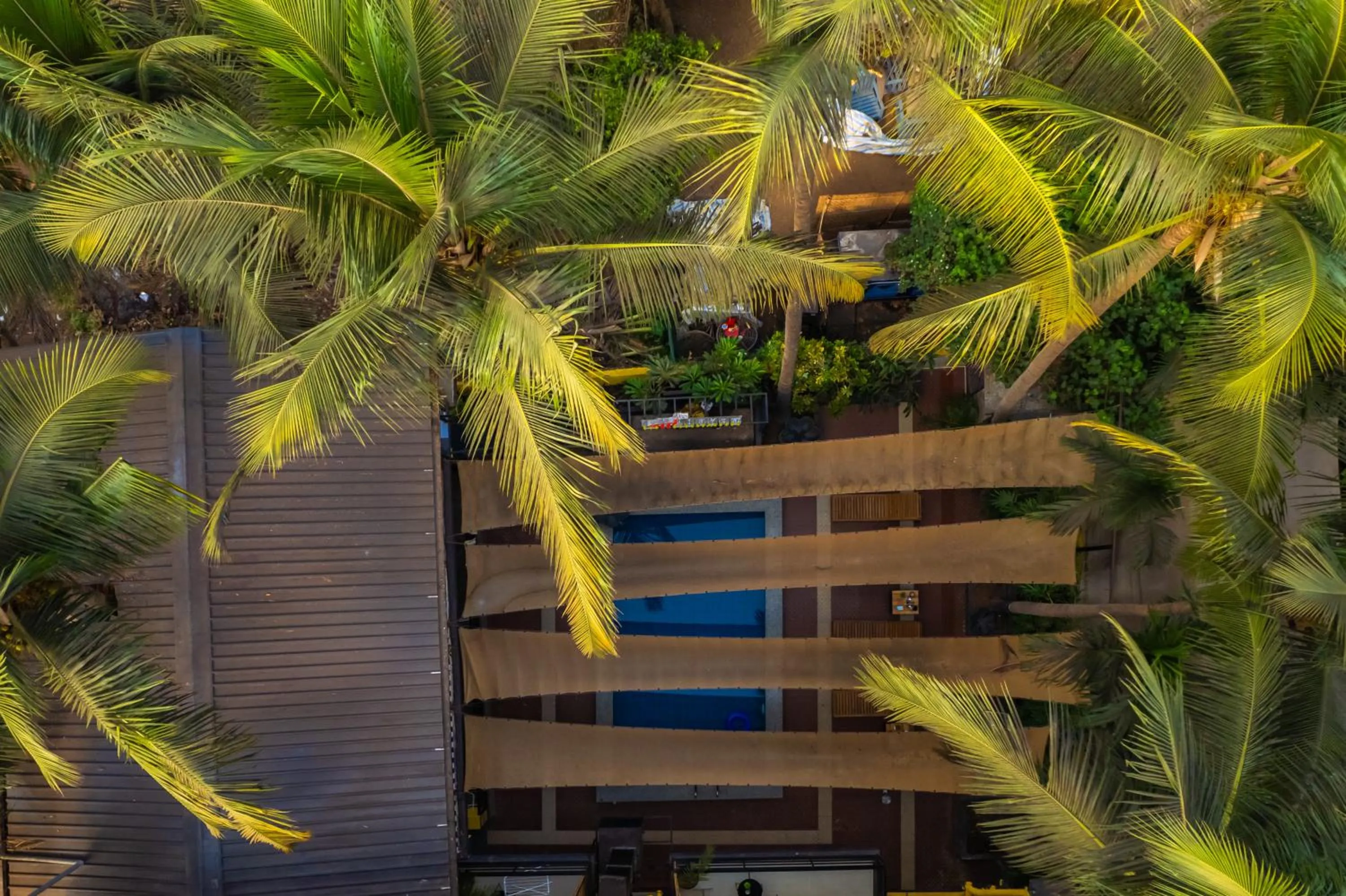 Garden view in Whoopers Boutique Hotel Morjim