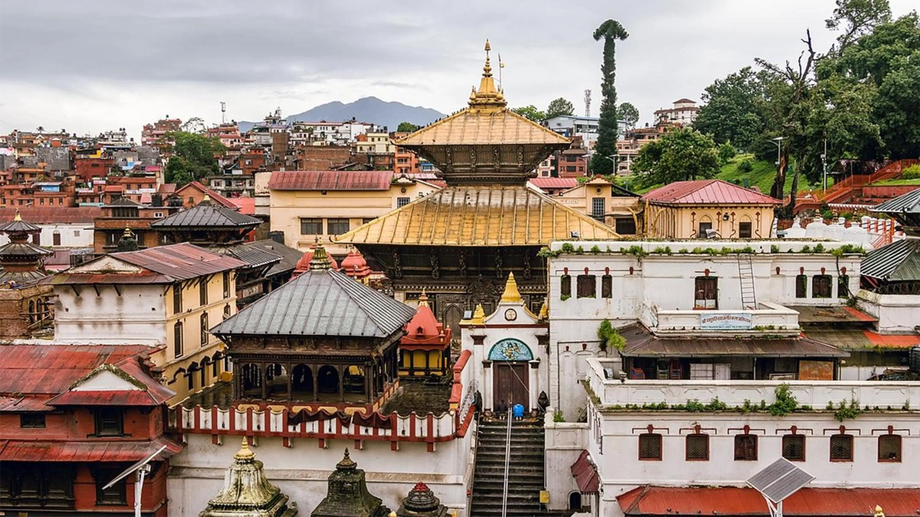 Area and facilities in Holiday Inn Express Kathmandu Naxal by IHG