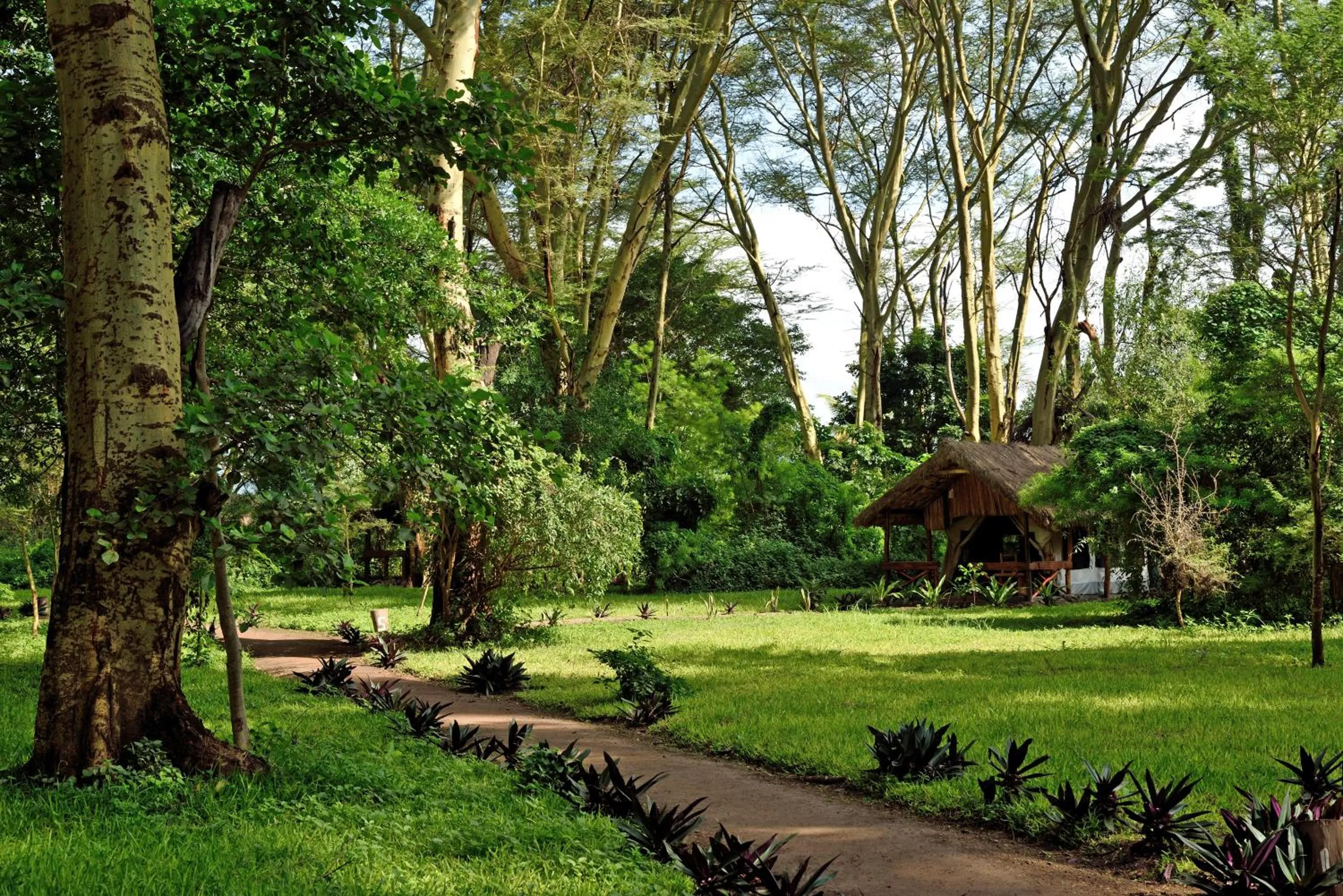 Spring in Migunga Tented Camp