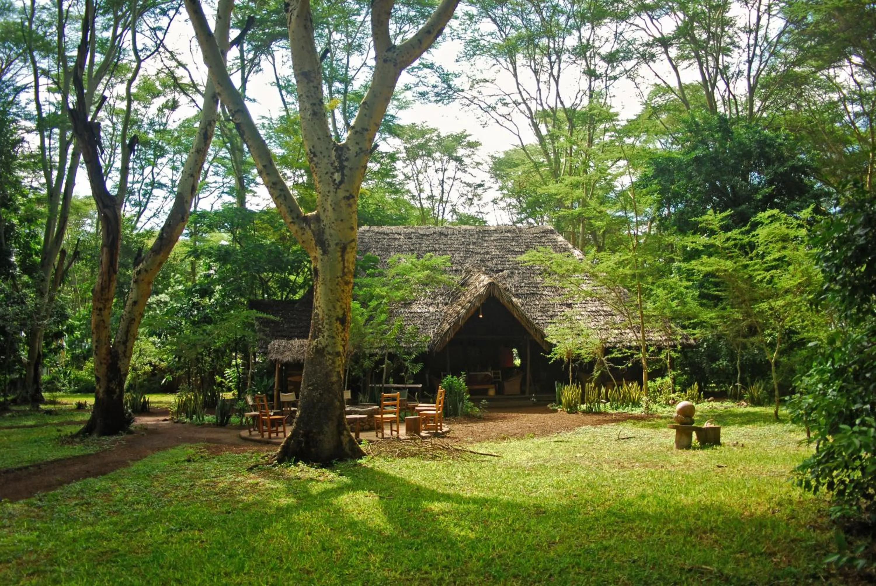 Spring in Migunga Tented Camp