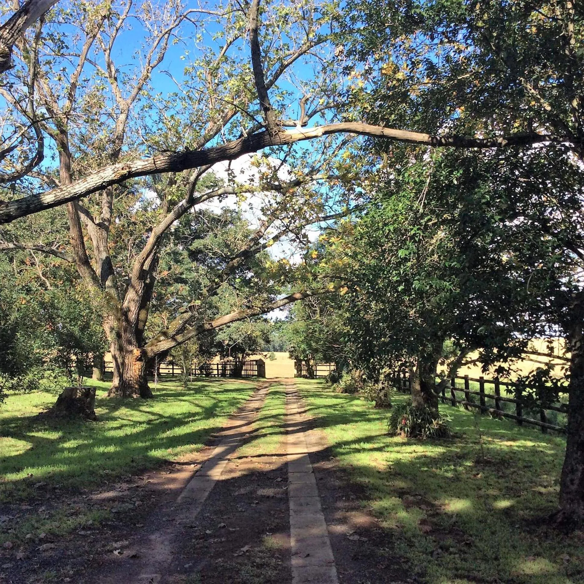 Facade/entrance in Petra's Country Guesthouse