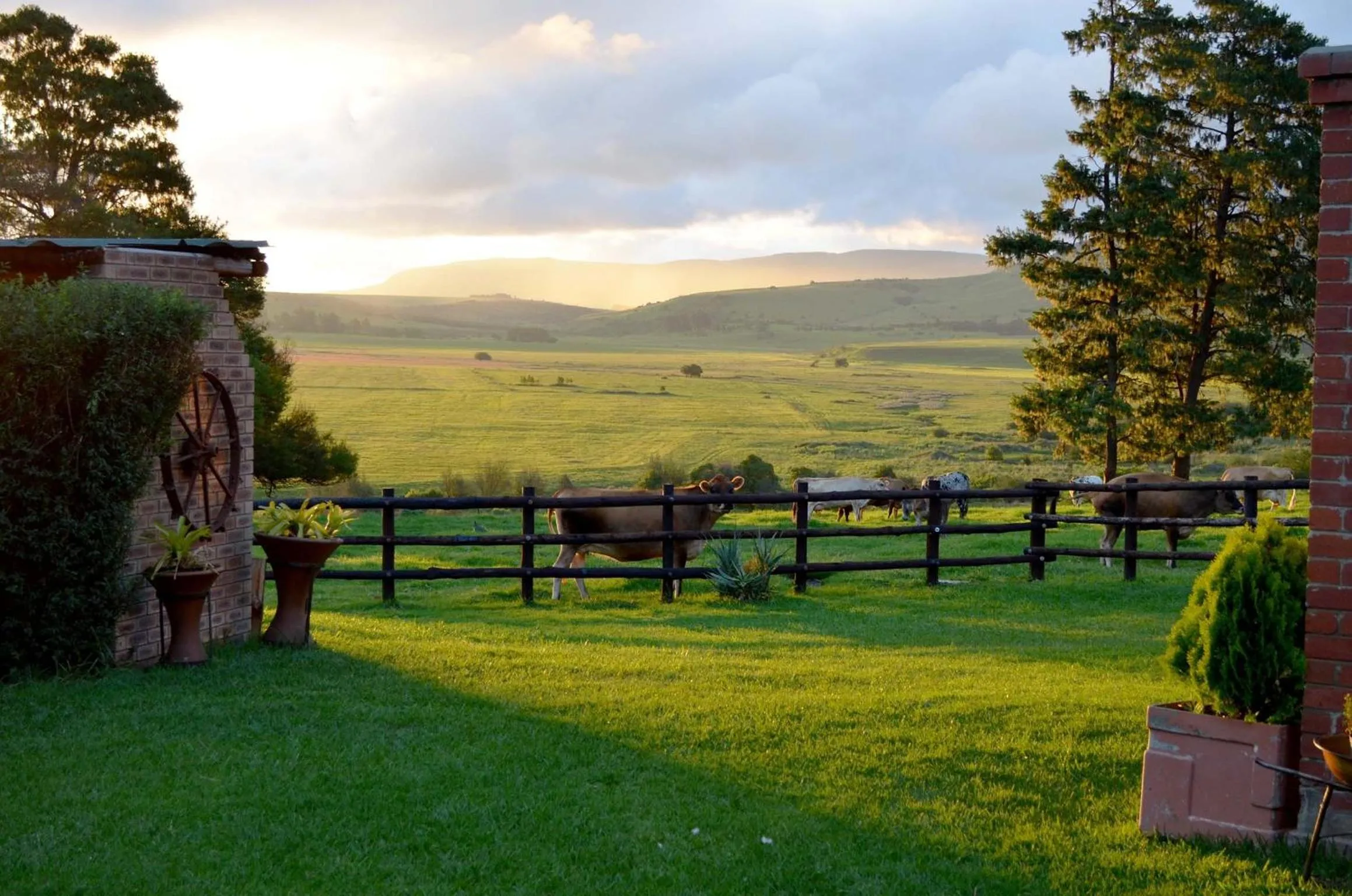 Animals in Petra's Country Guesthouse