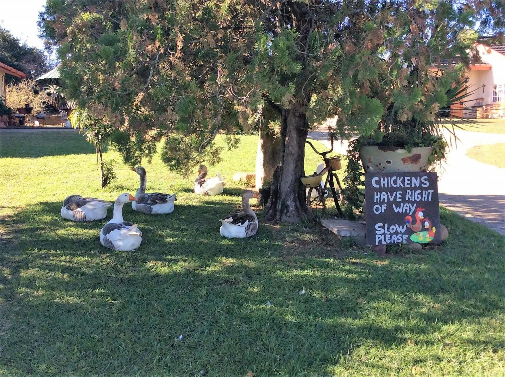 Garden in Petra's Country Guesthouse