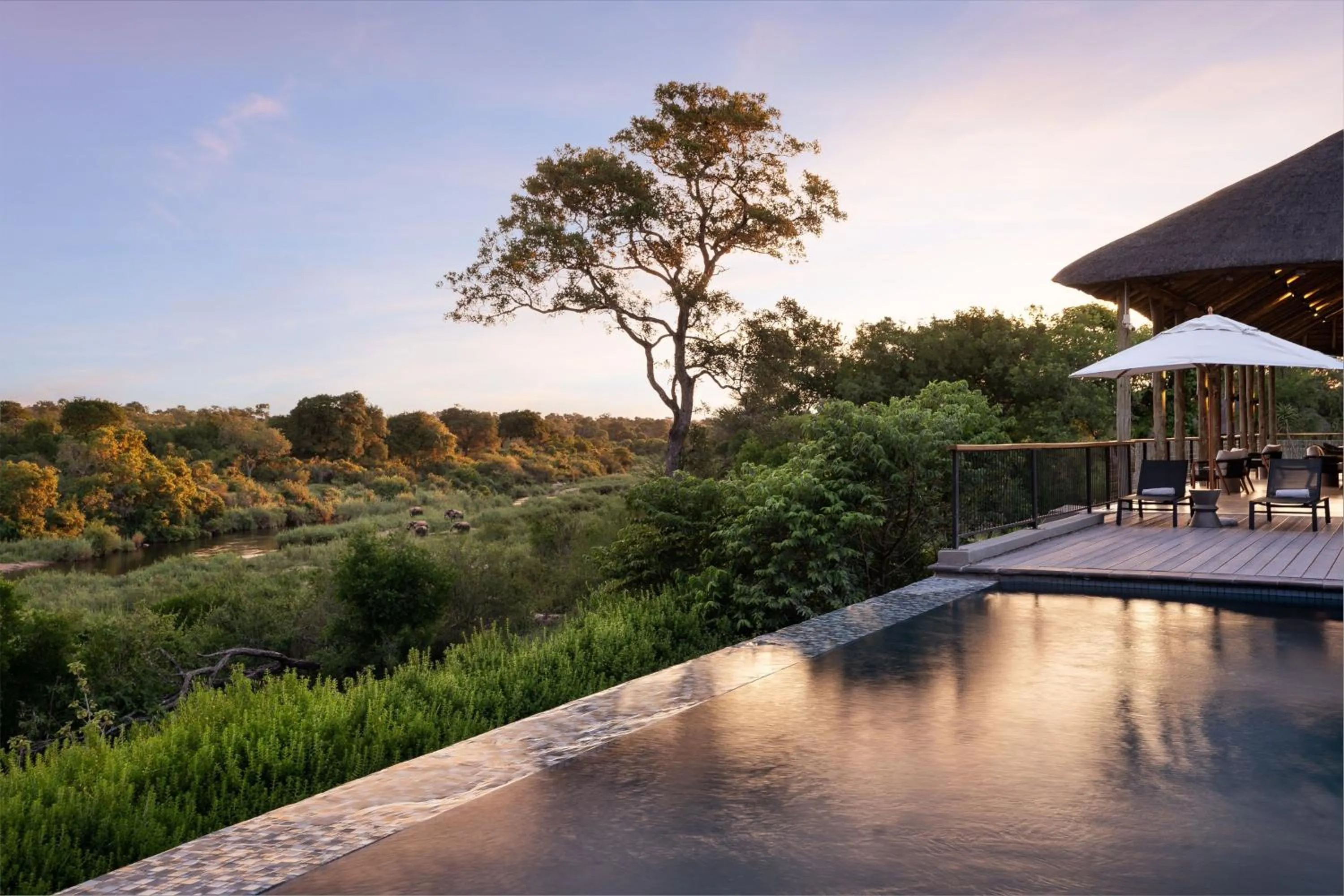 Other in Leopard Sands Kruger Park