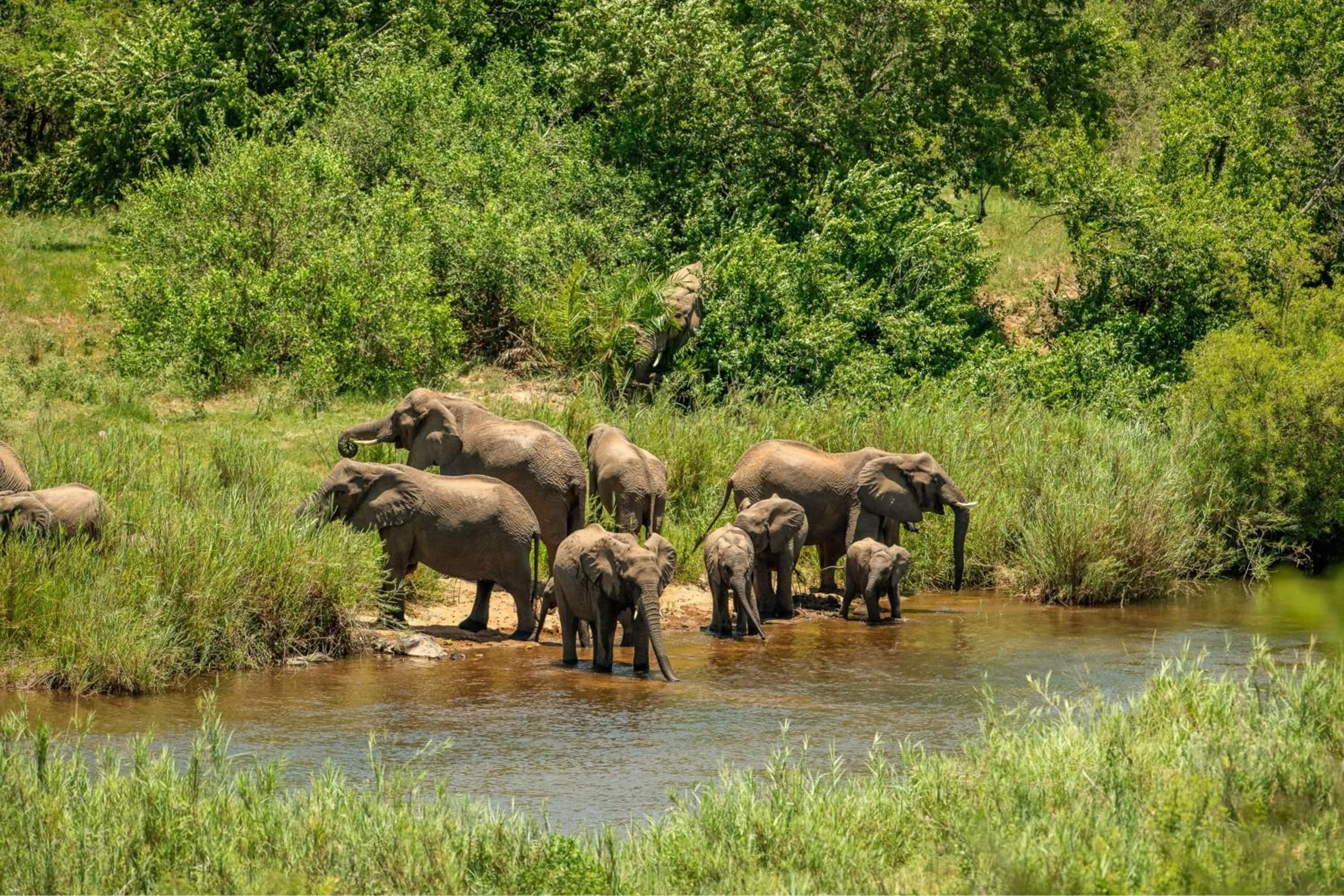Restaurant/places to eat in Leopard Sands Kruger Park