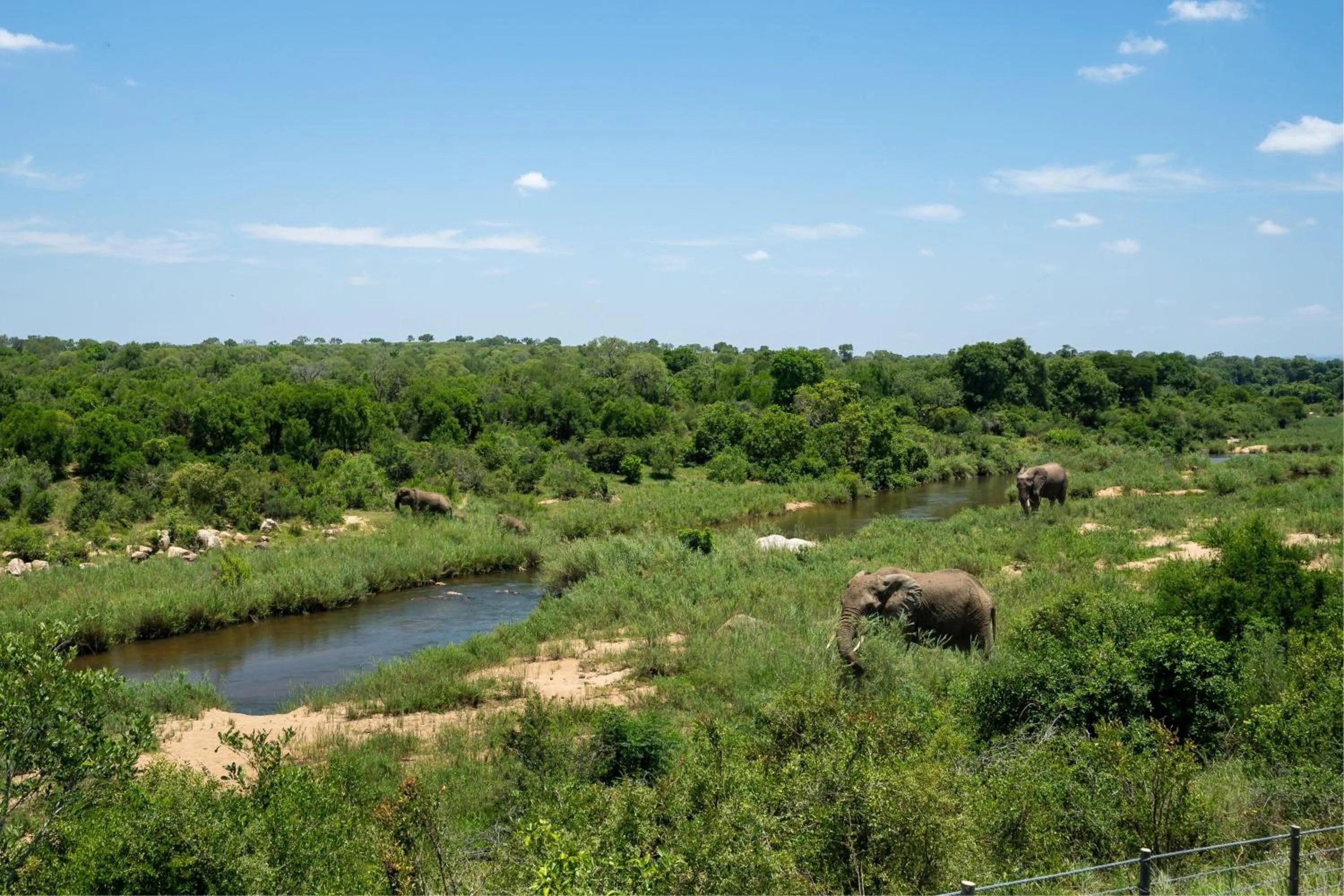 Other in Leopard Sands Kruger Park