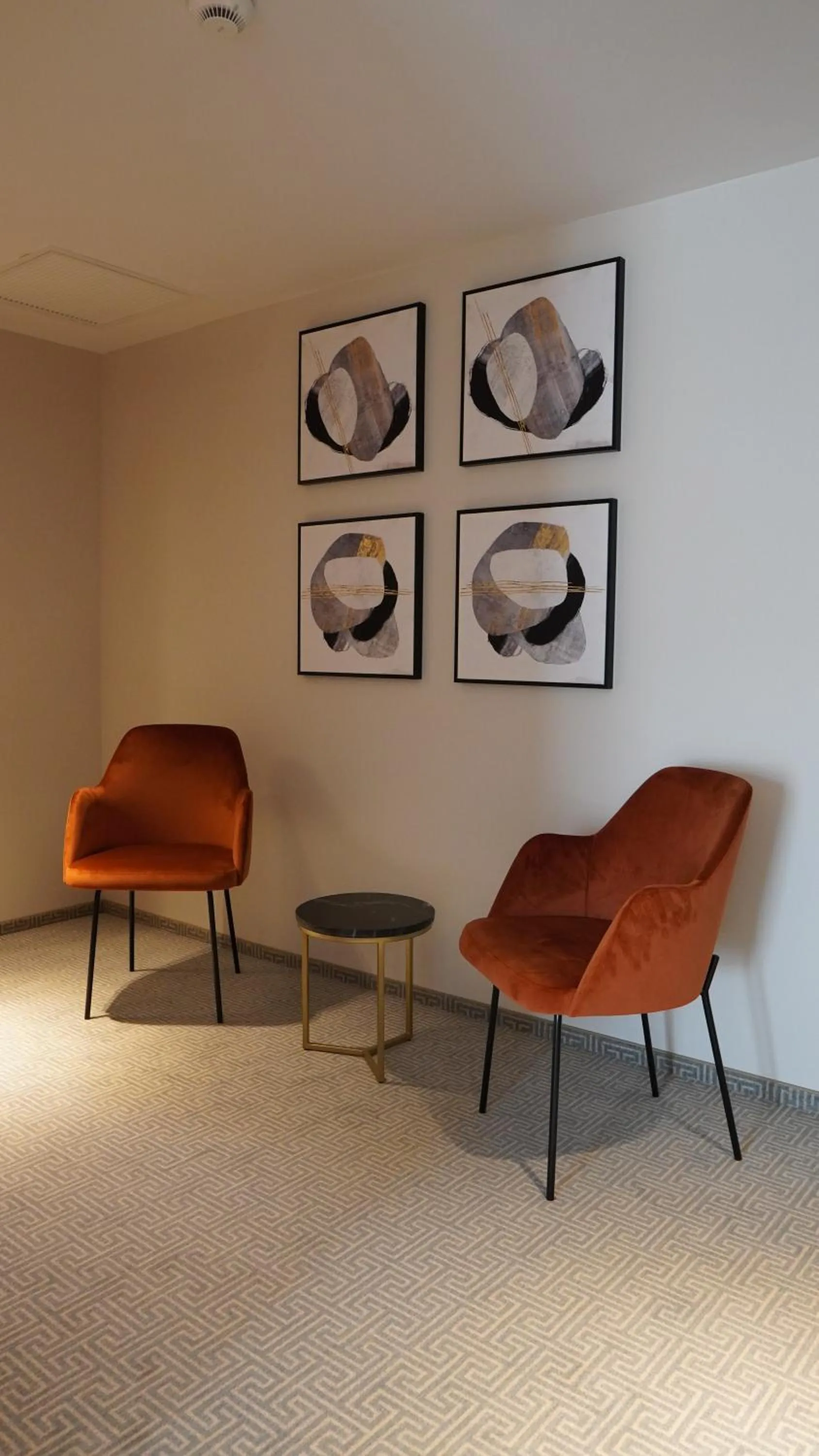 Living room in Hotel Sorin MIHAI