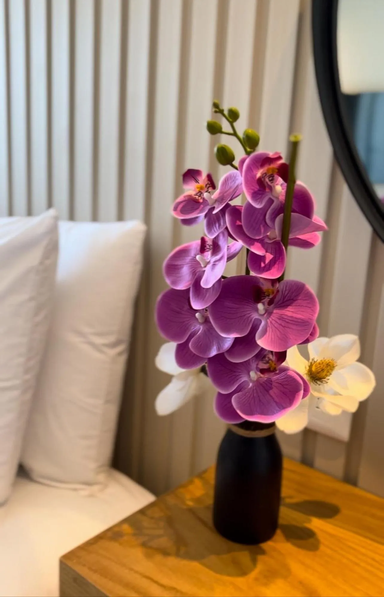 Coralia Boutique Hotel Cozumel