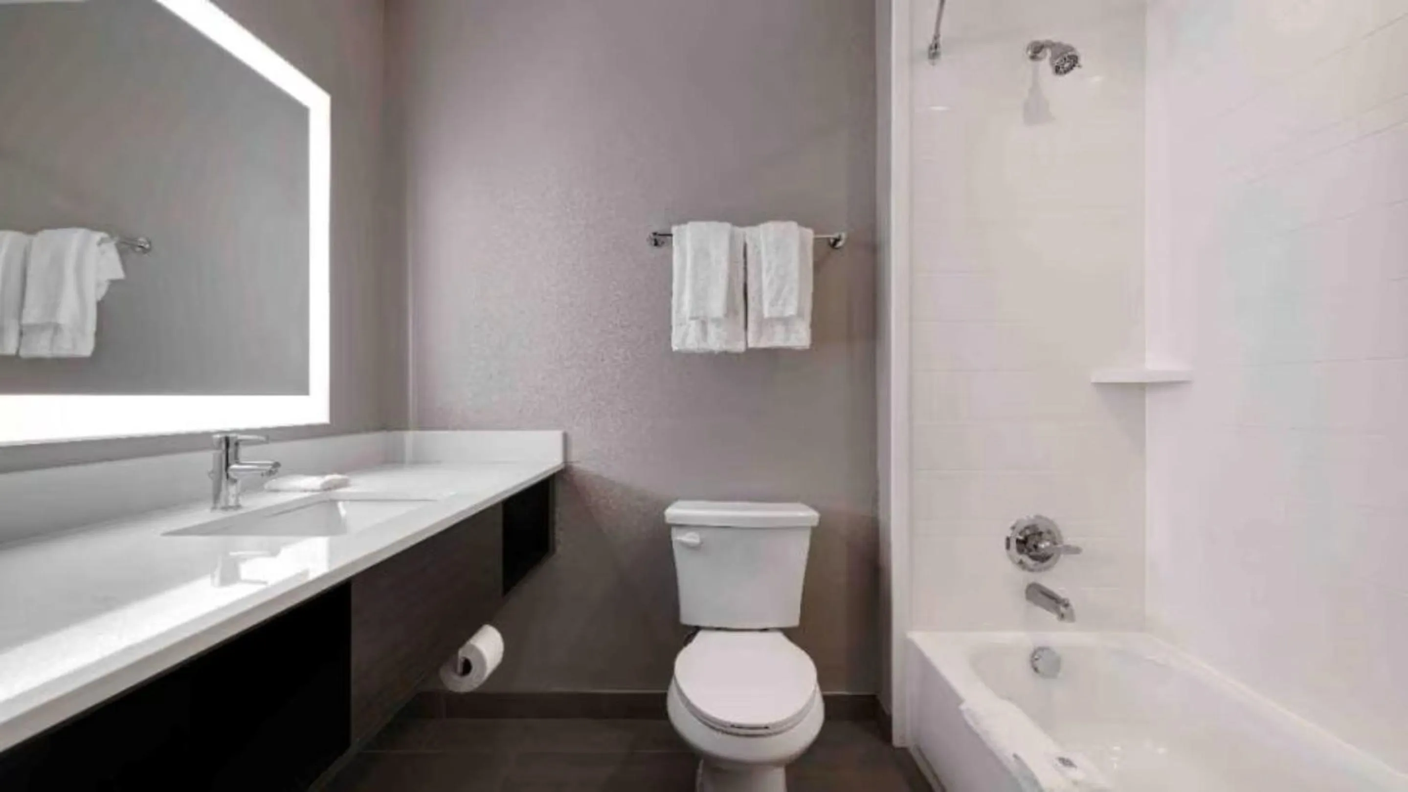 Bathroom in Motel 6 Dallas, TX Methodist Charlton Medical Ctr