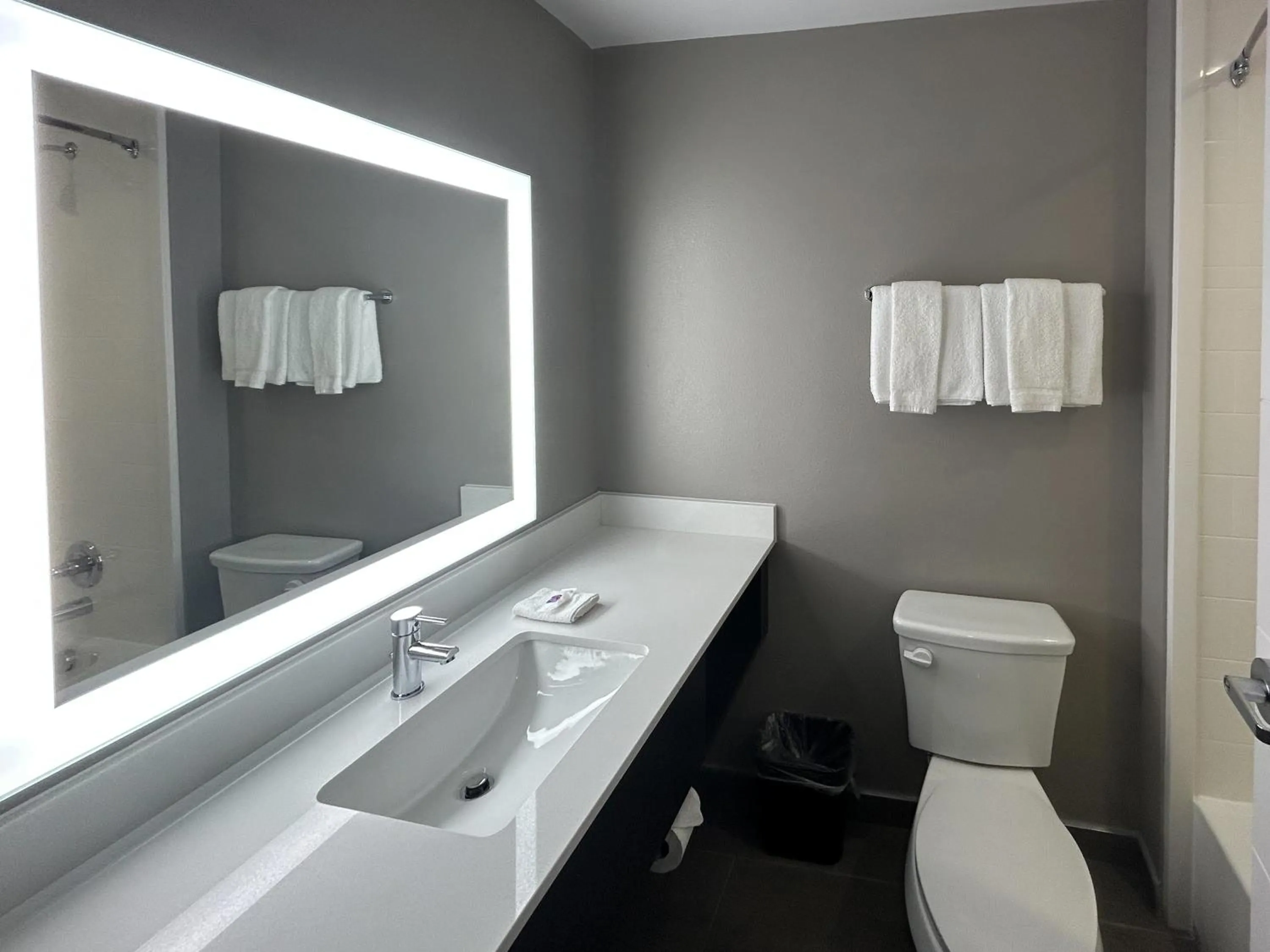 Bathroom in Motel 6 Dallas, TX Methodist Charlton Medical Ctr