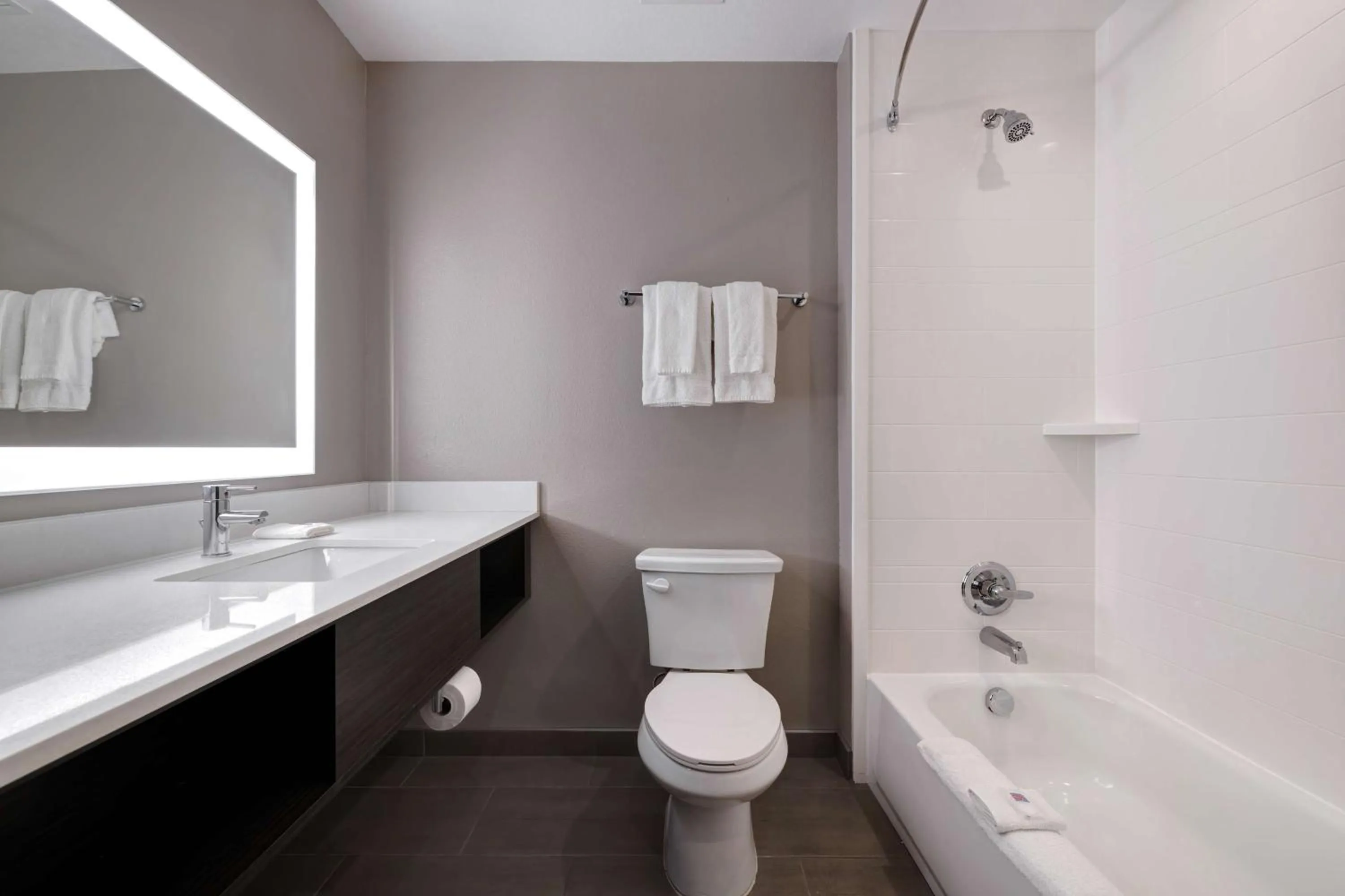 Bathroom in Motel 6 Dallas, TX Methodist Charlton Medical Ctr