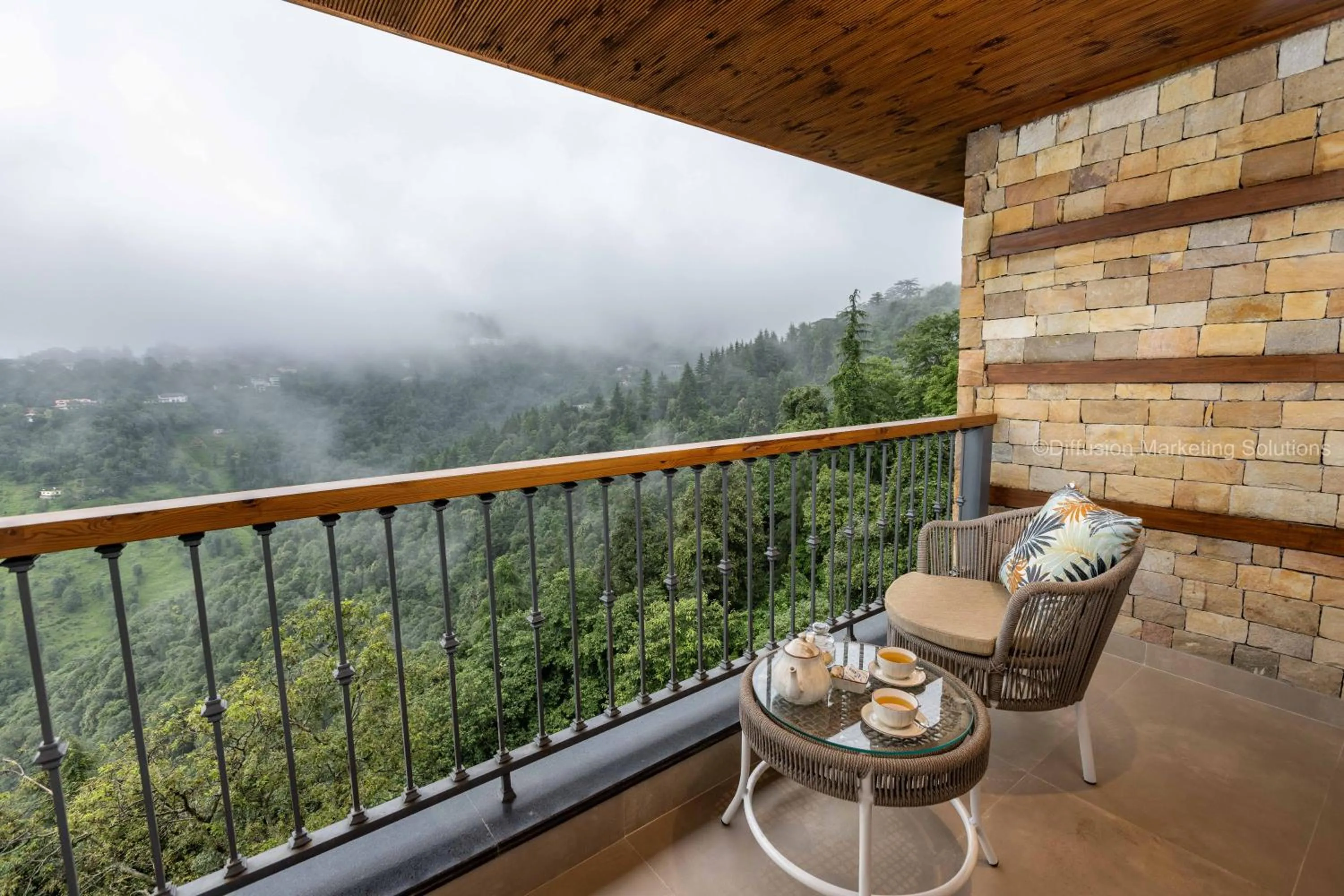 Natural landscape in juSTa Hollow Oak, Mussoorie