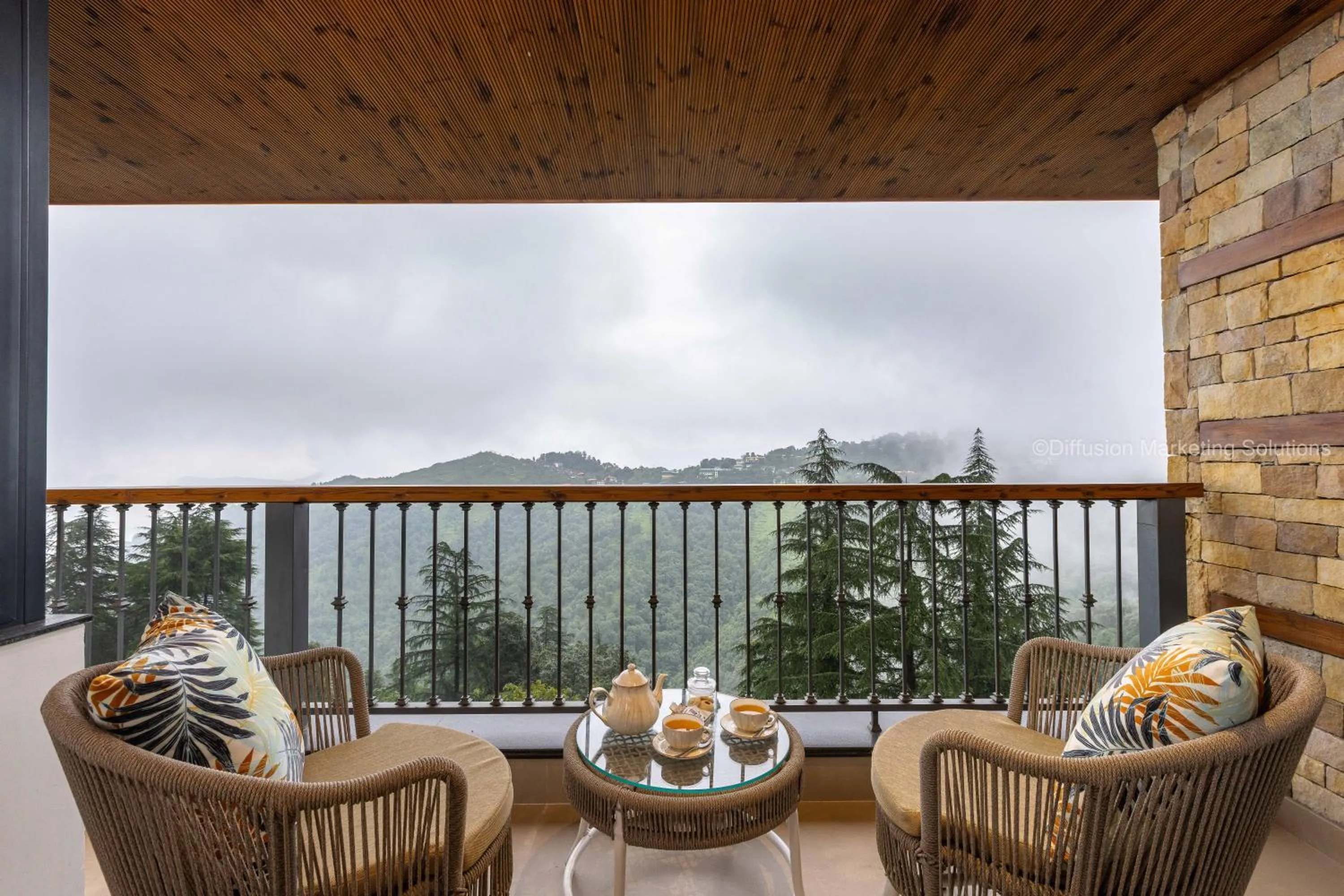 Day in juSTa Hollow Oak, Mussoorie