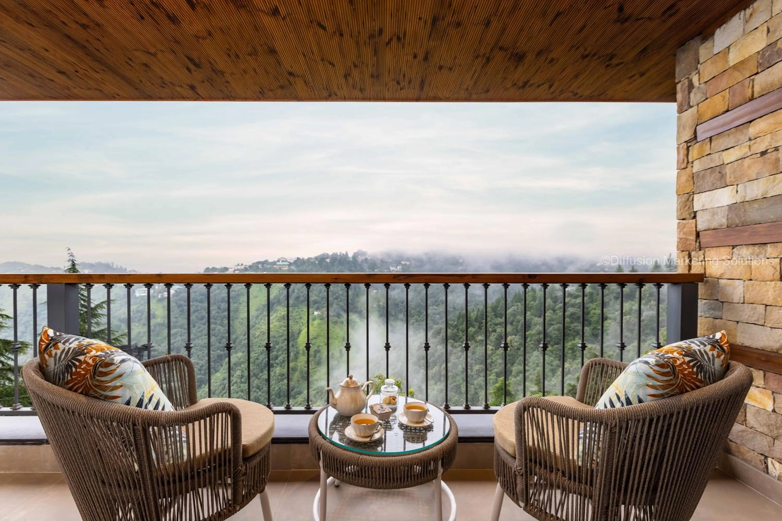 Day in juSTa Hollow Oak, Mussoorie