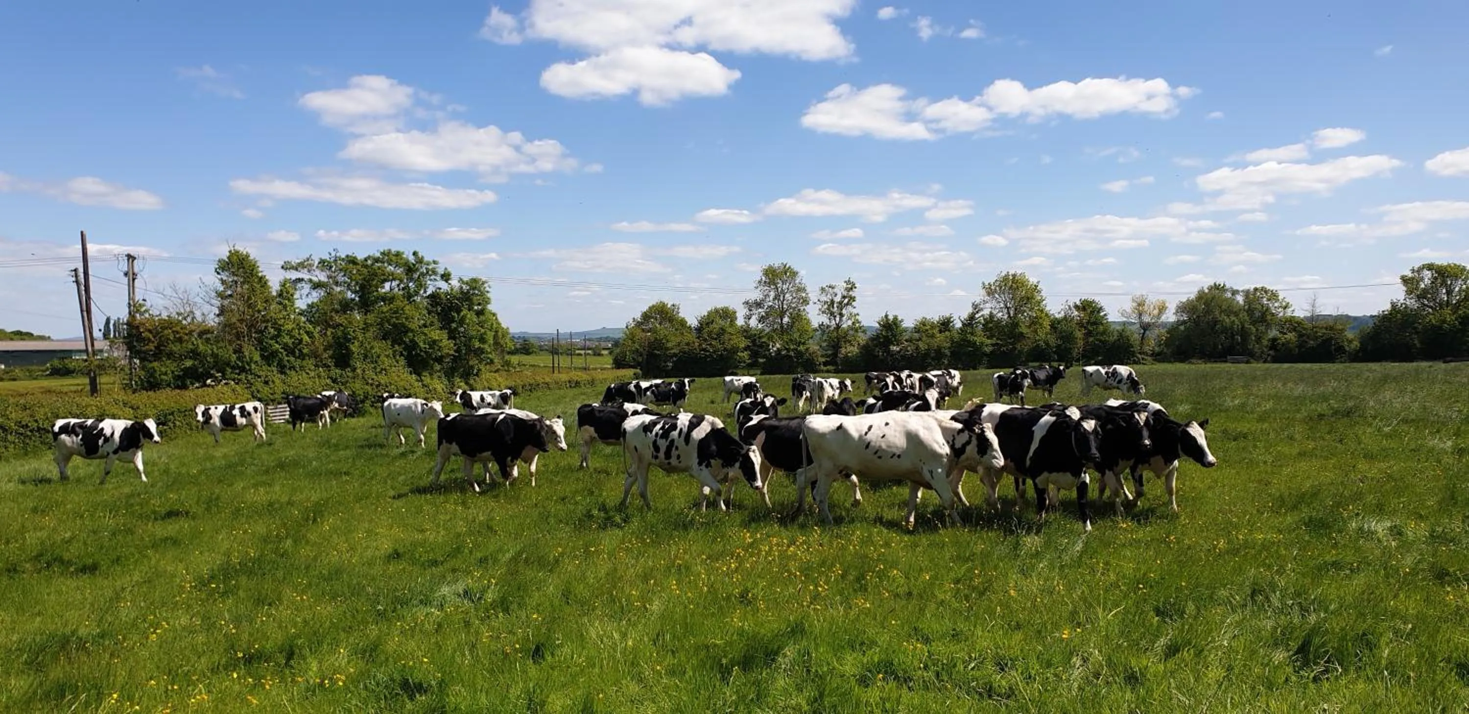 Natural landscape in Schoolhouse Restaurant and Hotel