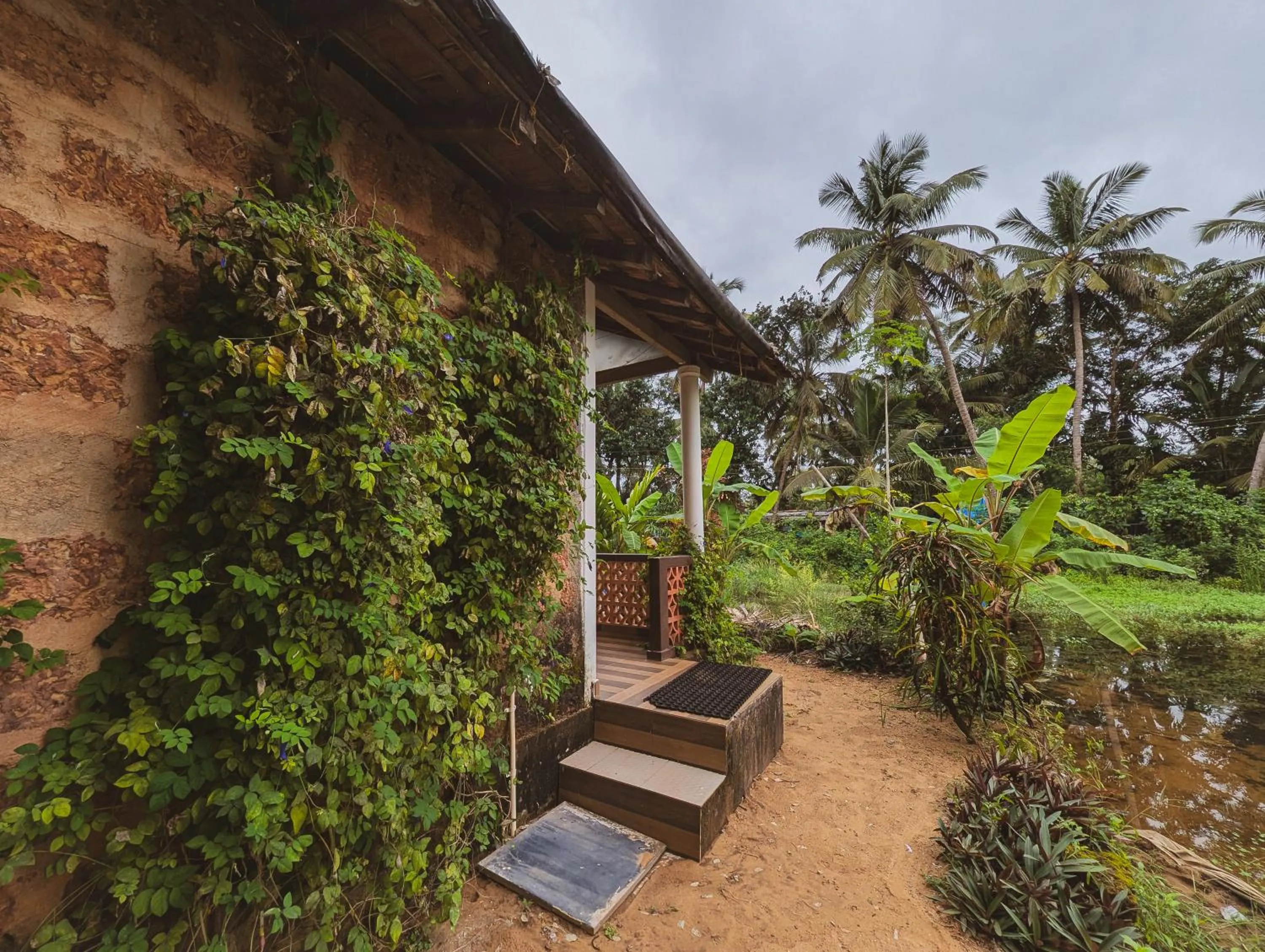 Garden view in Sunset Cafe Beach Stay