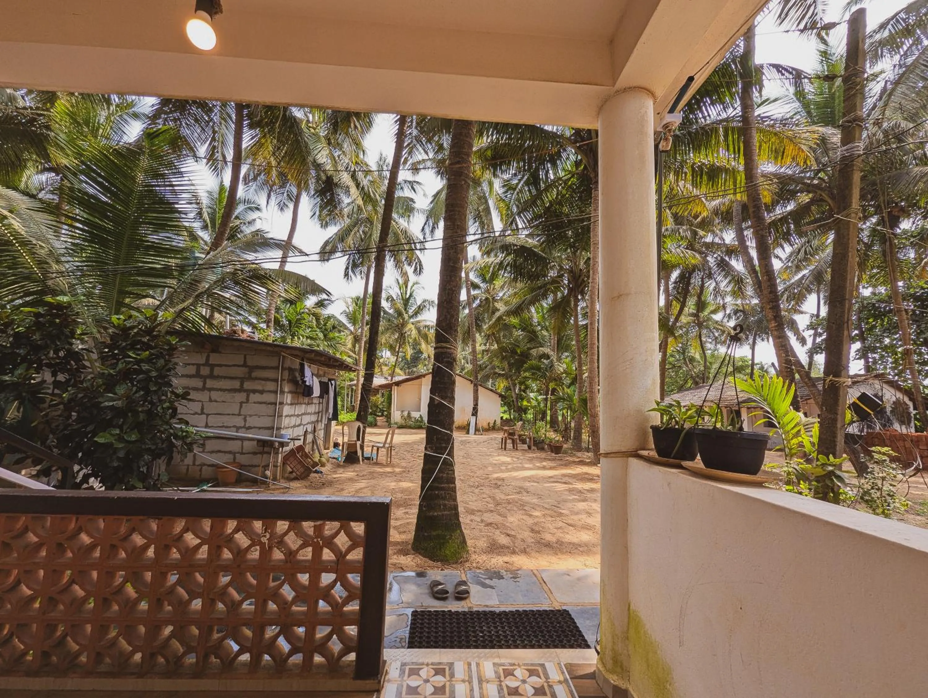 Garden in Sunset Cafe Beach Stay