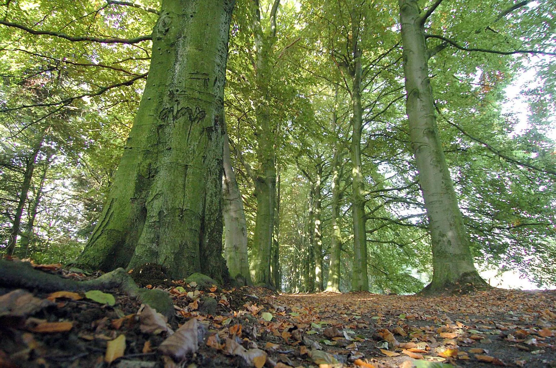 Activities in Motel Koolen