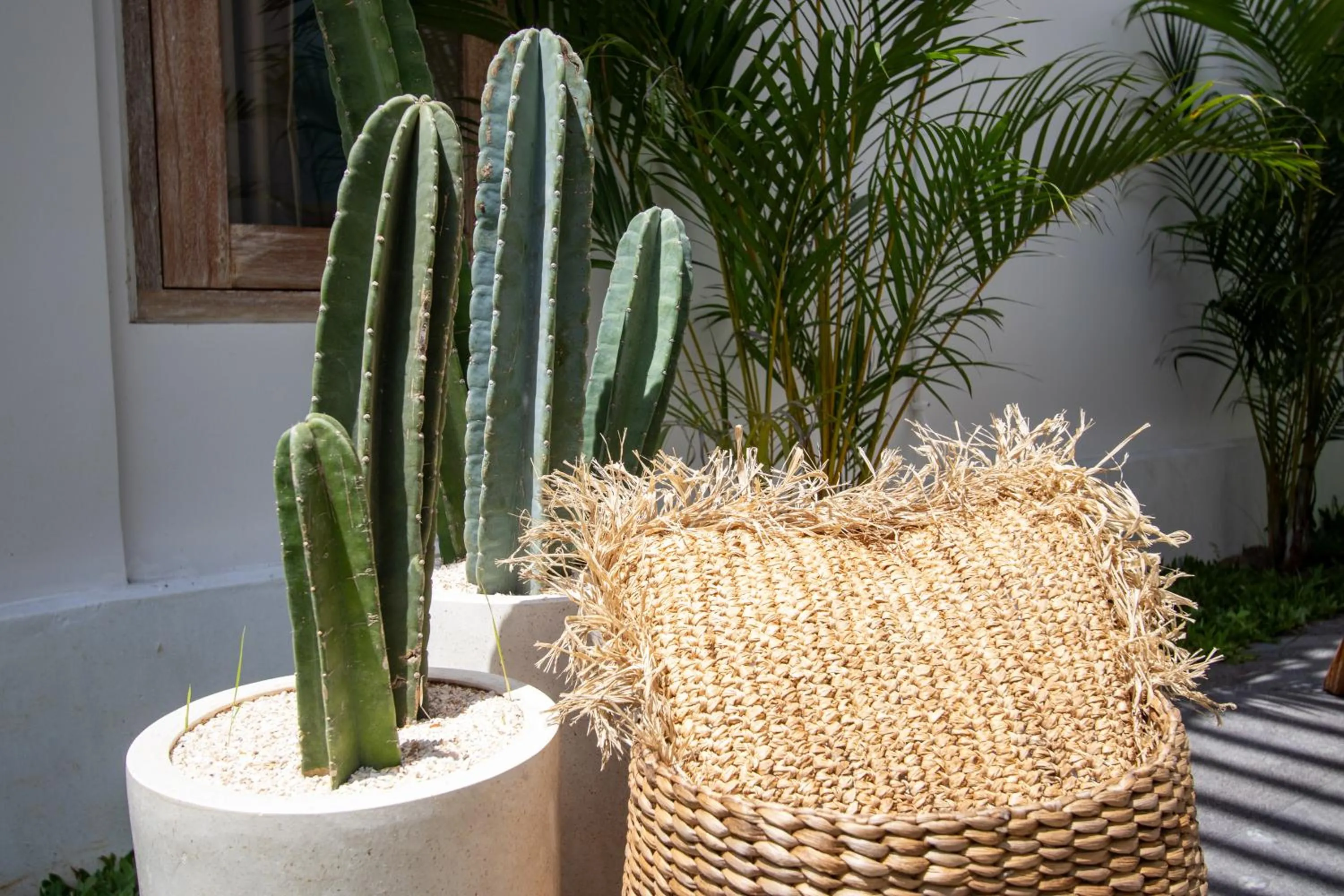 Day in Umalas Jungle Villa- Amazing View Huge Pool Stay in Canggu