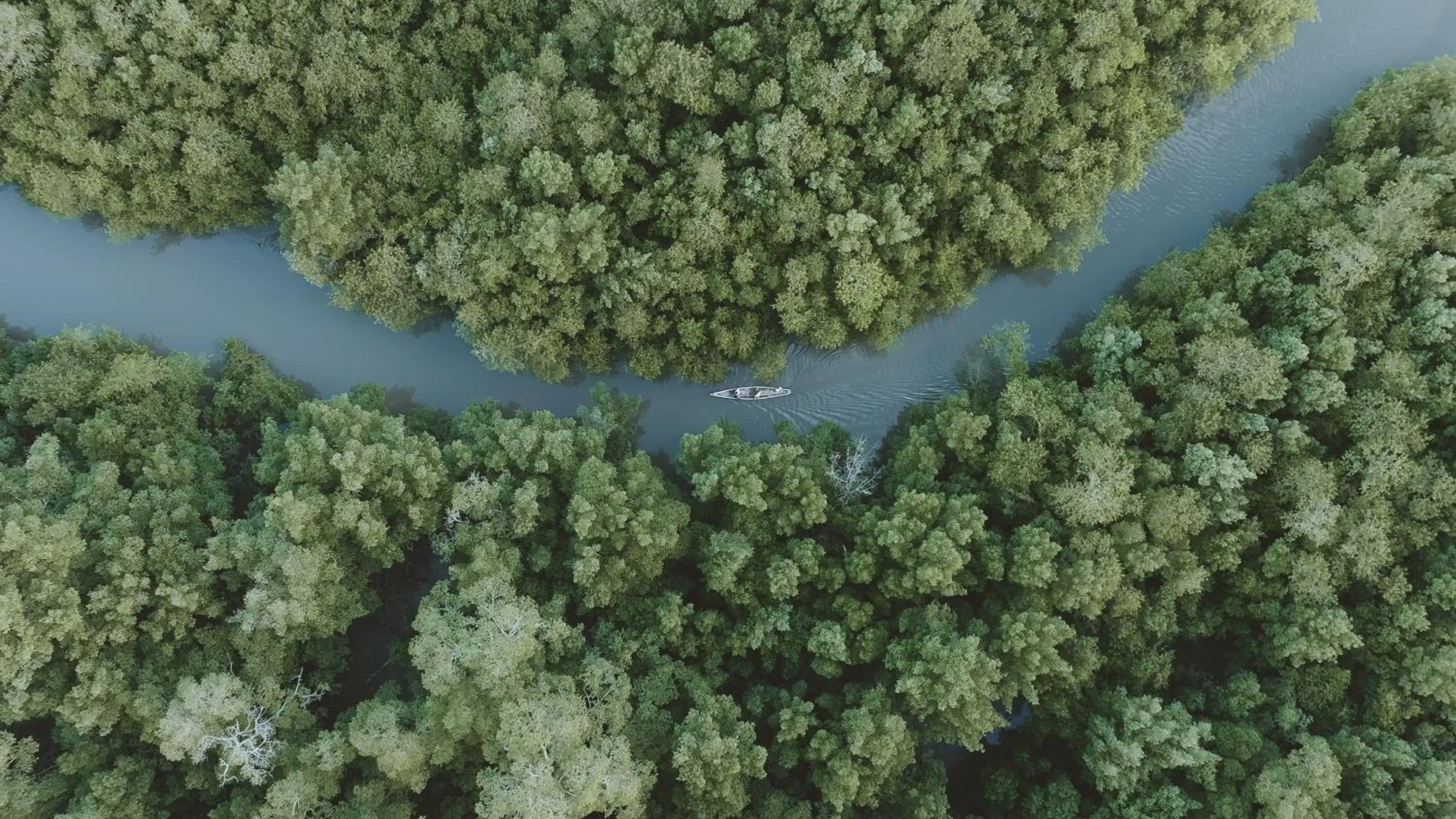 Natural landscape in Ritz Barra de São Miguel