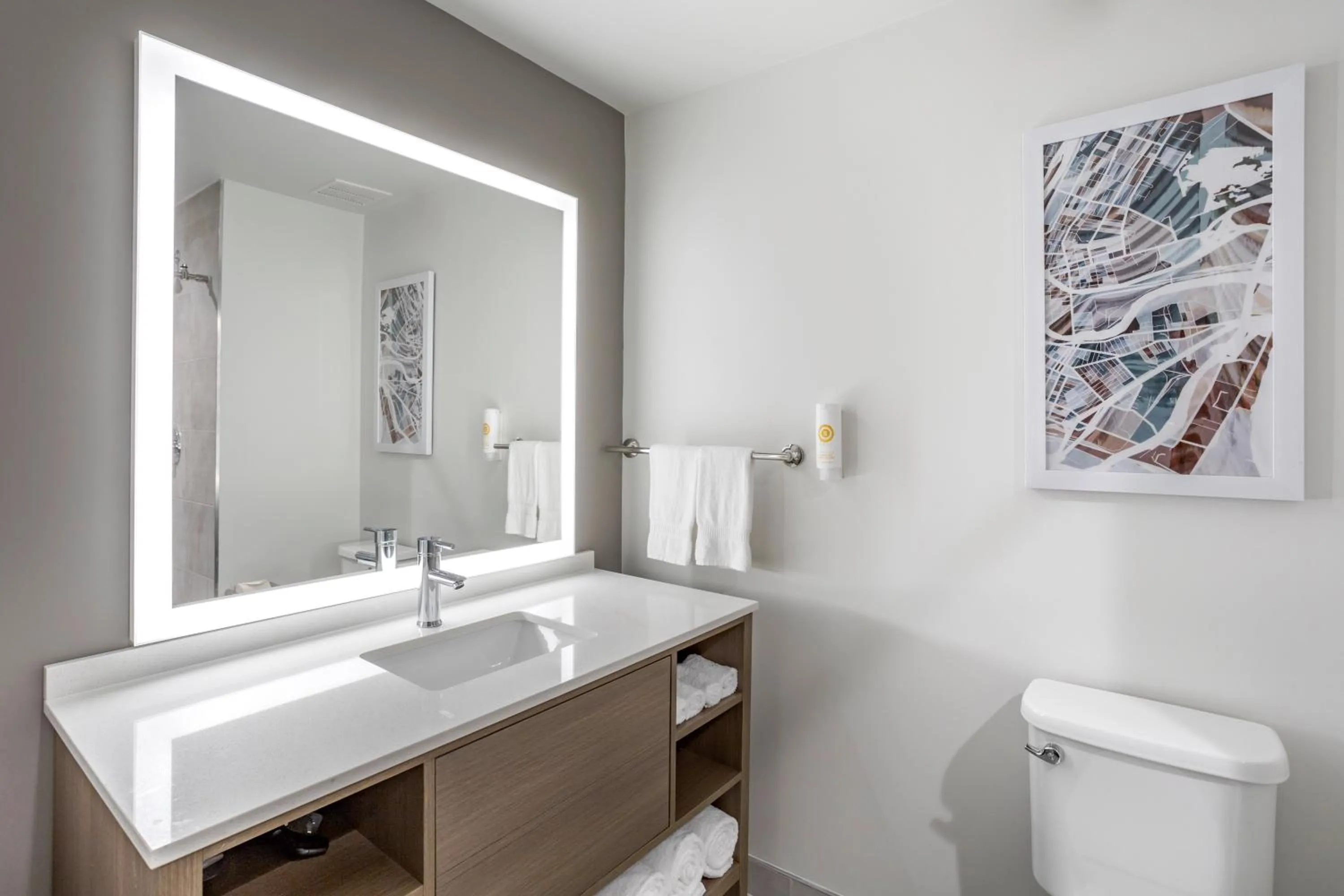 Toilet in Comfort Inn & Suites Newark Liberty International Airport