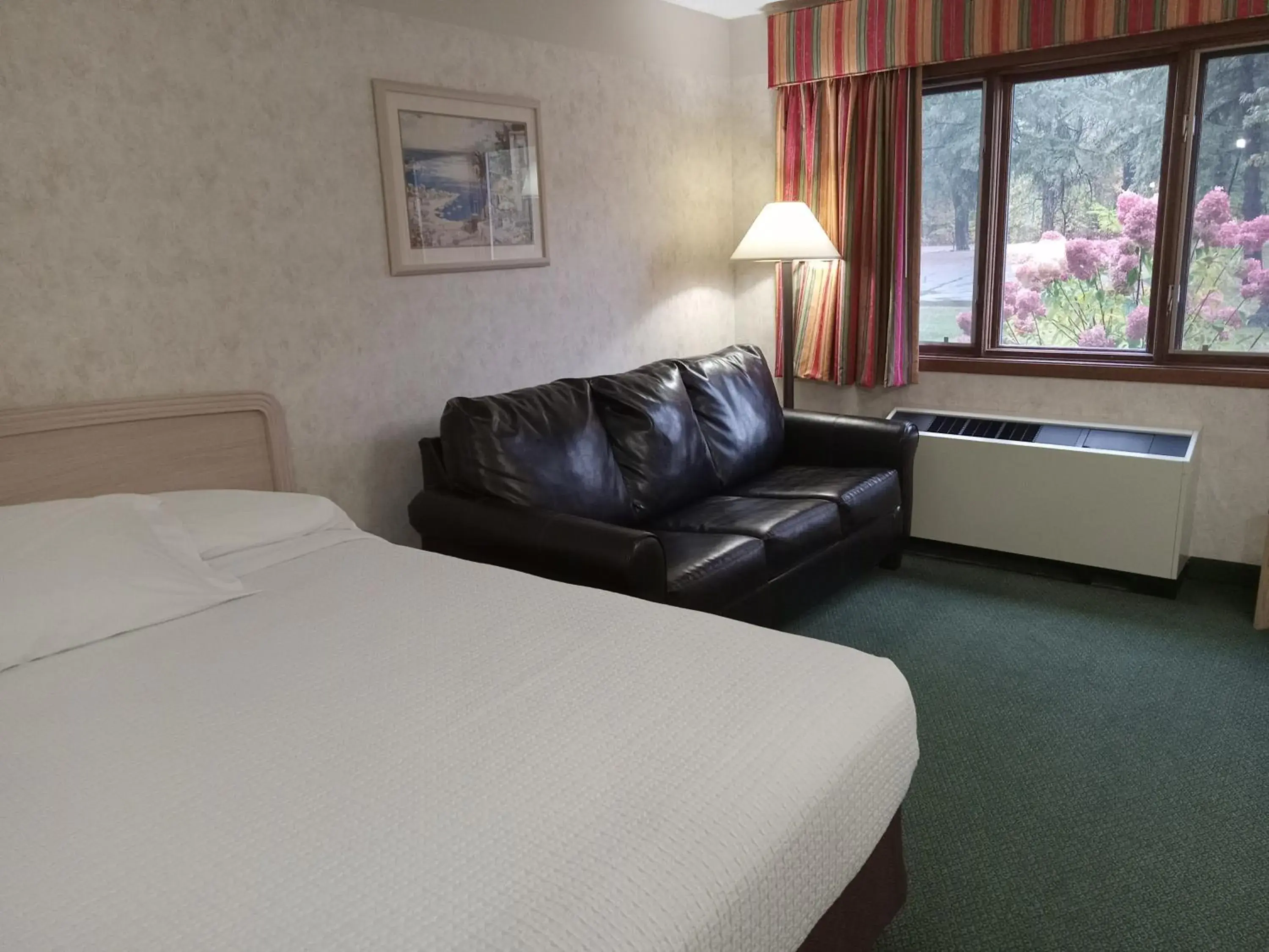 Deluxe King Suite in Paradise Shores Hotel Deluxe King Suite in Paradise Shores Hotel