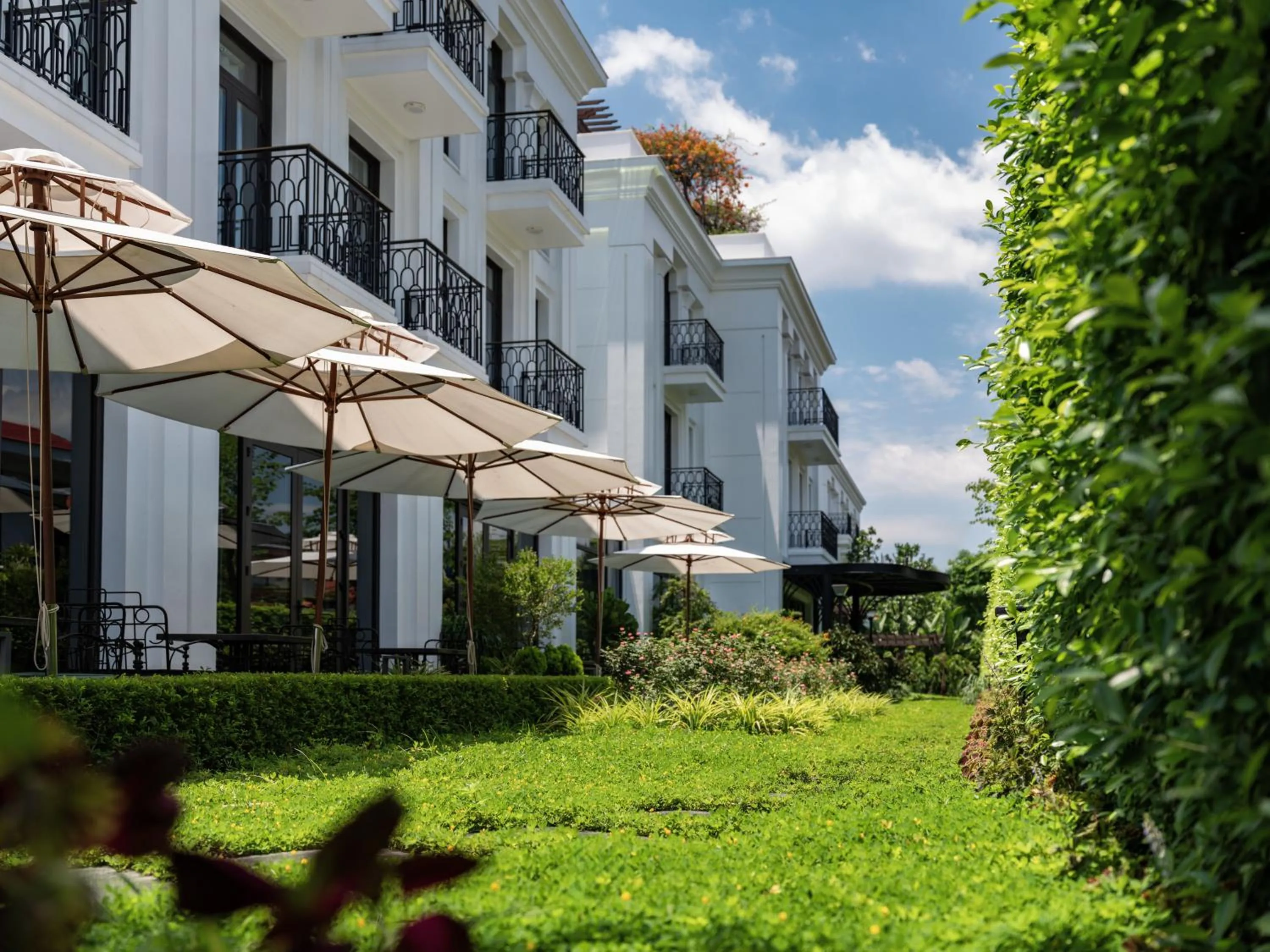 Garden in Elegant Mansion 88