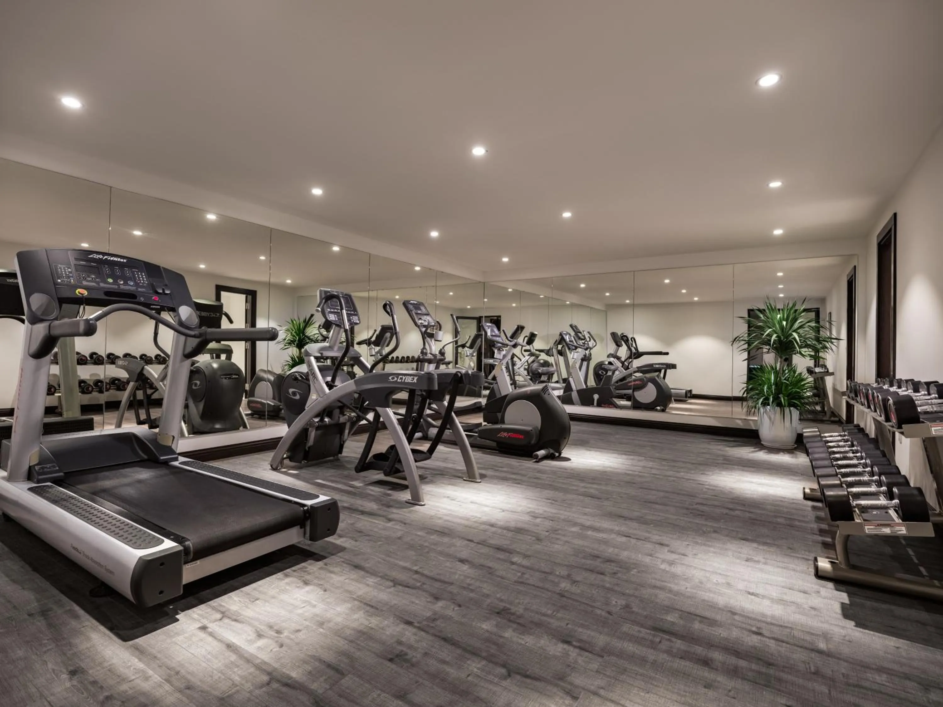 Fitness centre/facilities in Elegant Mansion 88