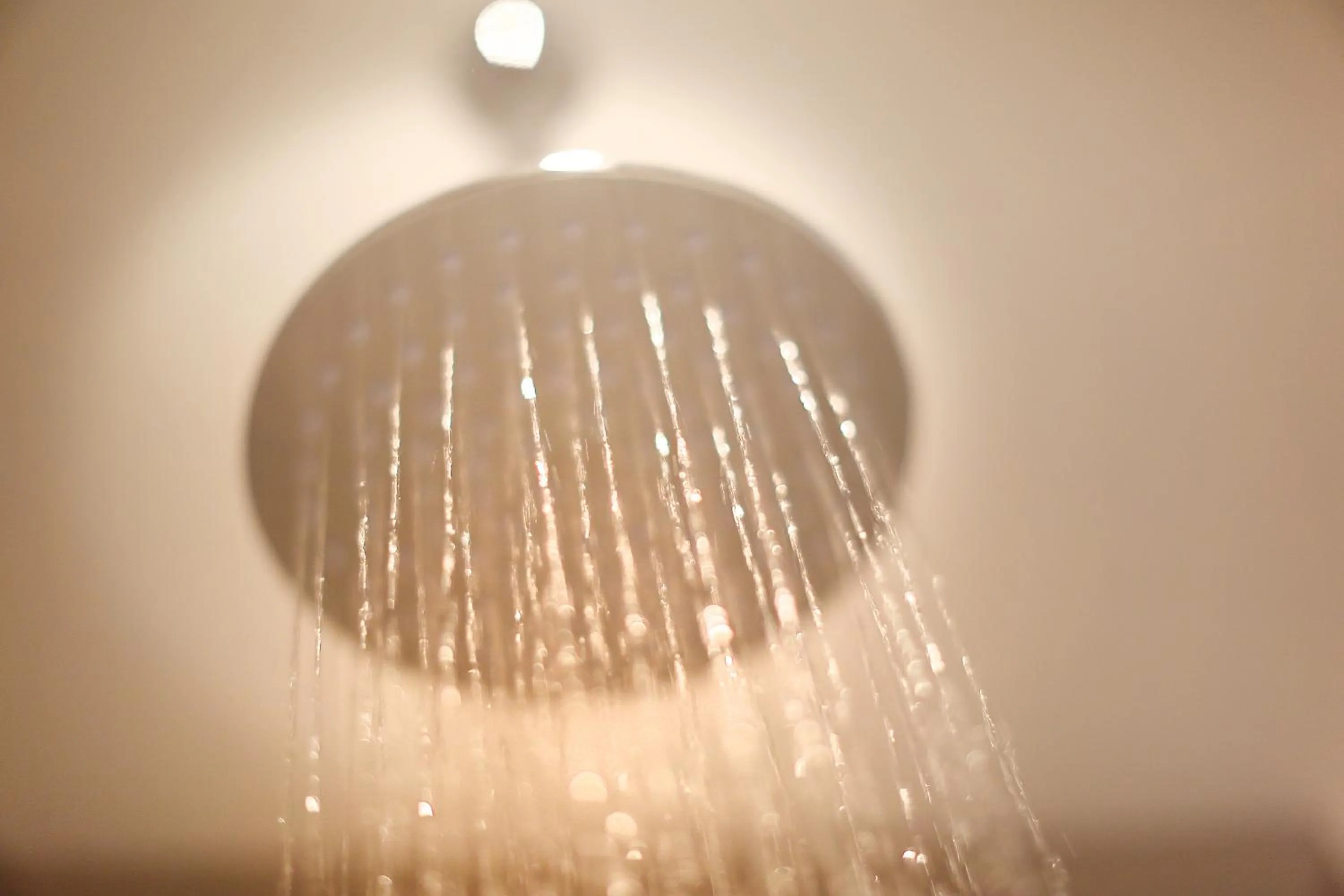 Decorative detail in Van der Valk Hotel Akersloot / A9 ALKMAAR