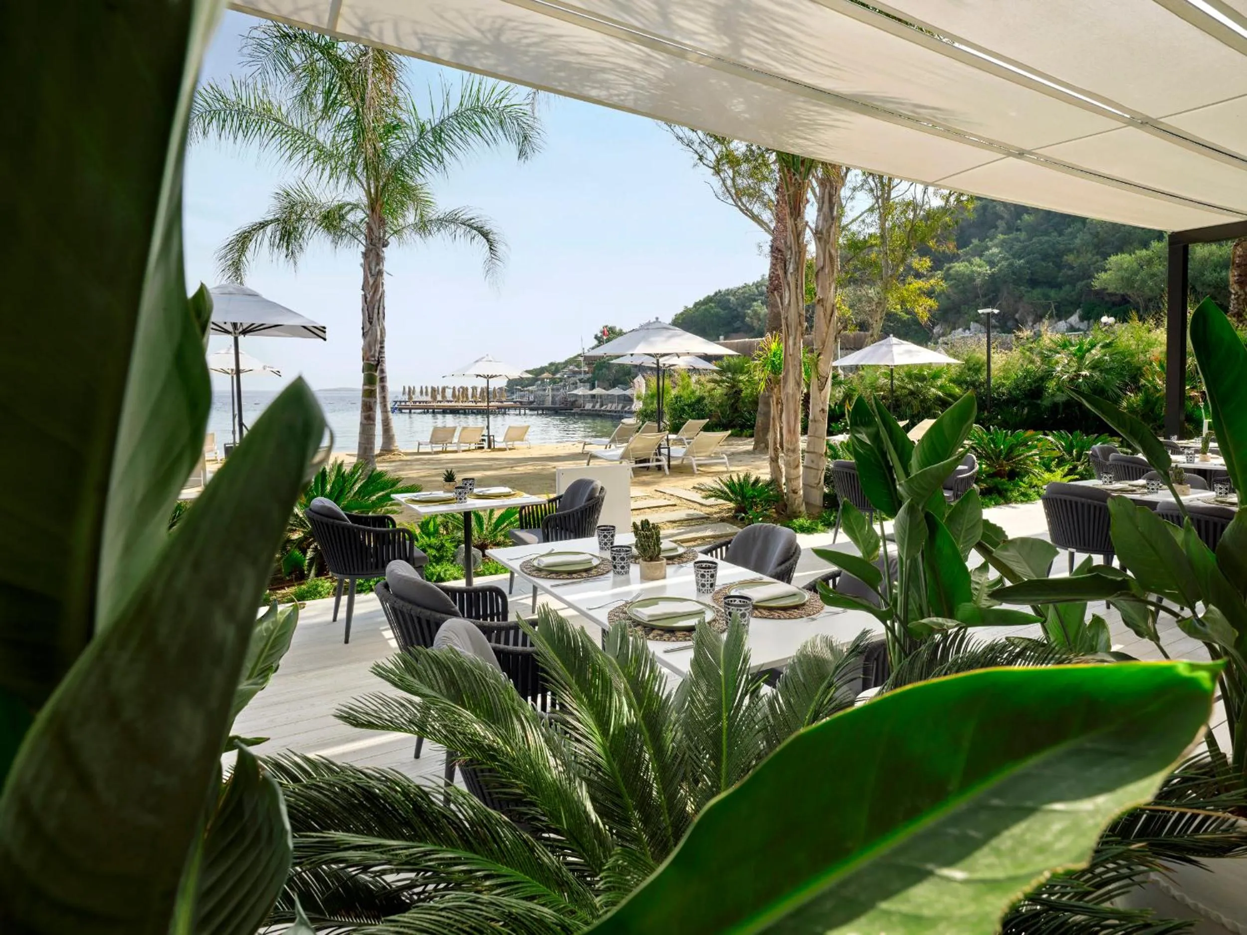 Restaurant/places to eat in Caja by Maxx Royal