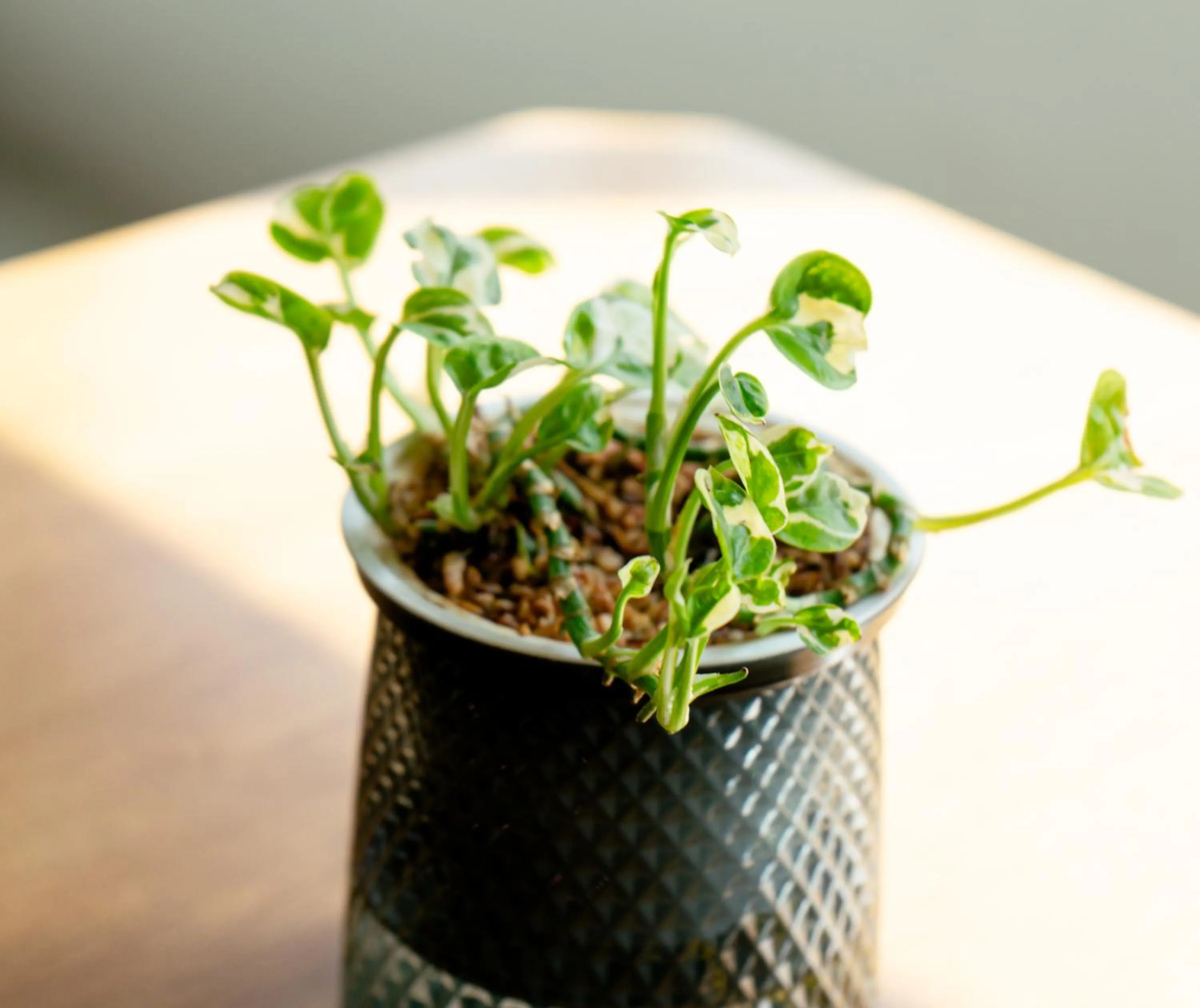 View (from property/room) in V1 boutique hotel