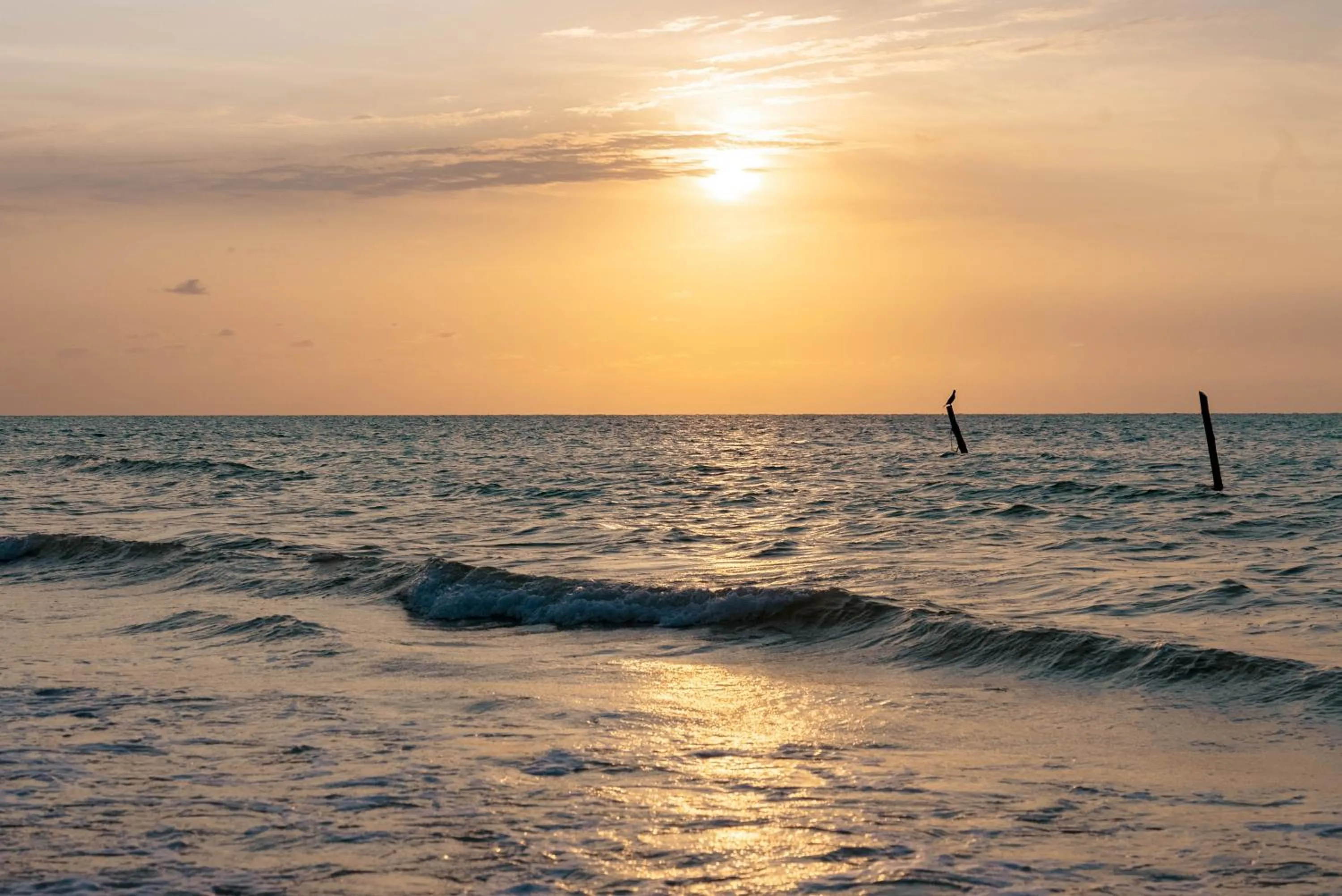 Natural landscape in AWA Holbox Hotel Boutique - Beach Front