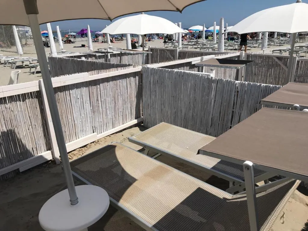 Day in Kristalex Pet Family Hotel