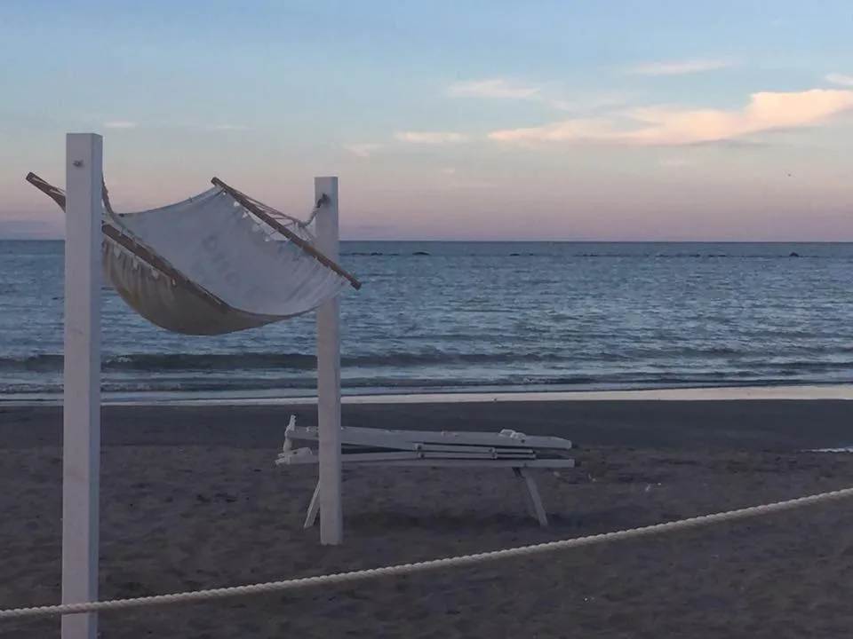 Beach in Kristalex Pet Family Hotel