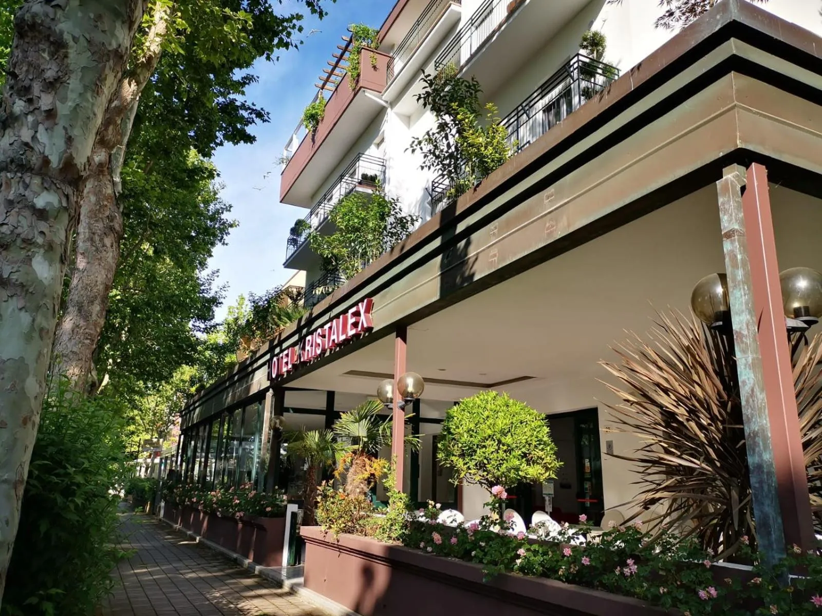 Animals in Kristalex Pet Family Hotel