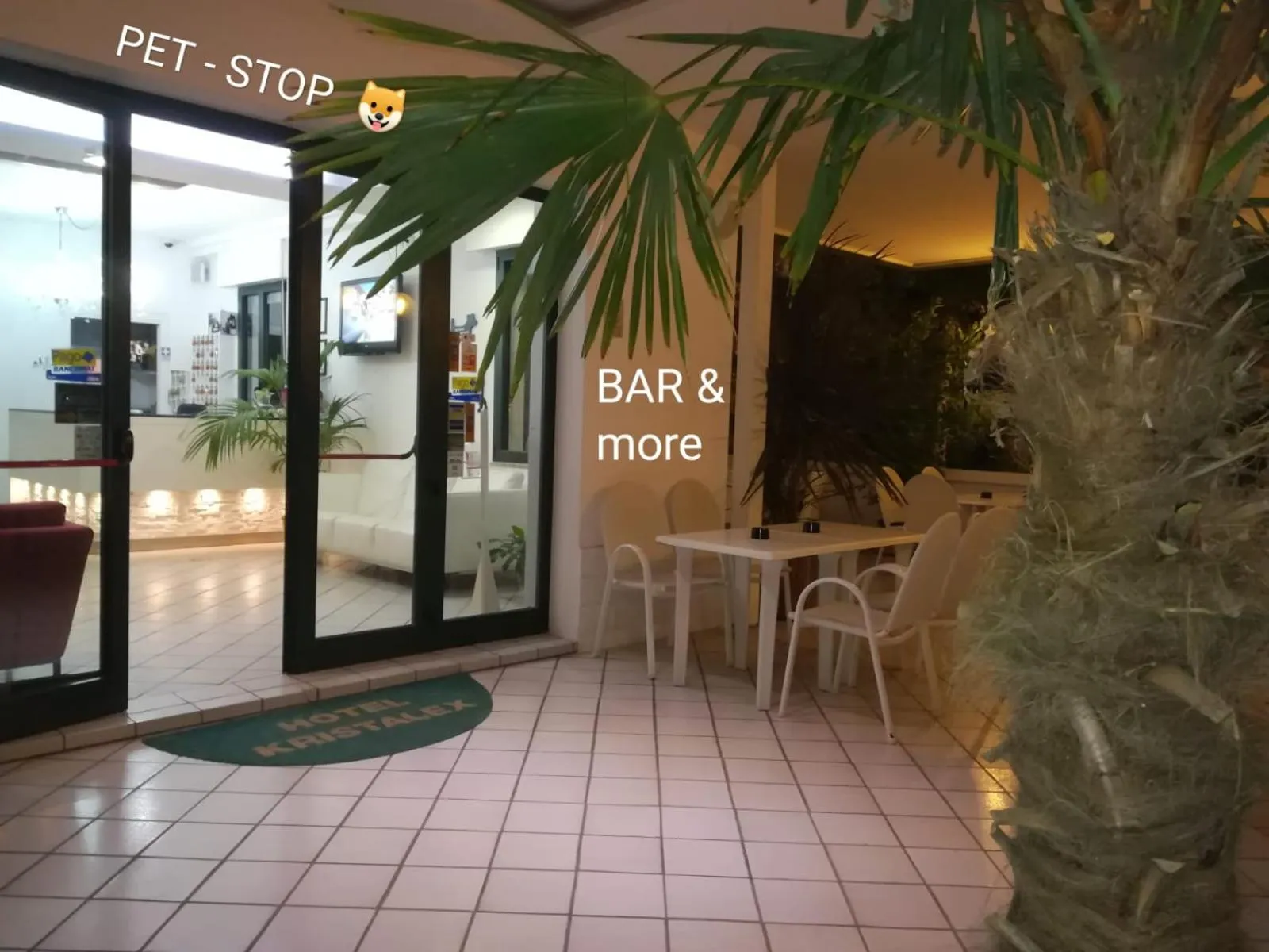 Lobby or reception in Kristalex Pet Family Hotel