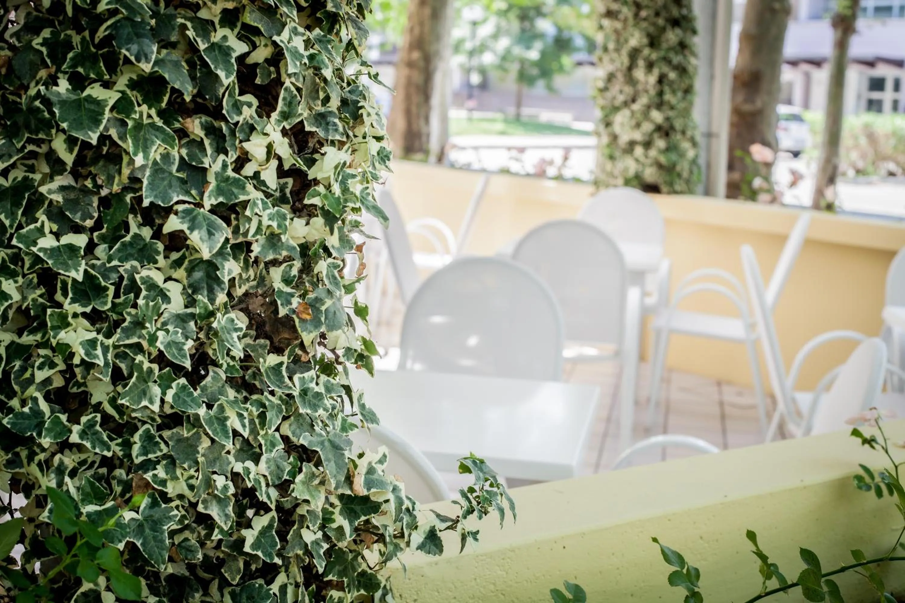 Patio in Kristalex Pet Family Hotel