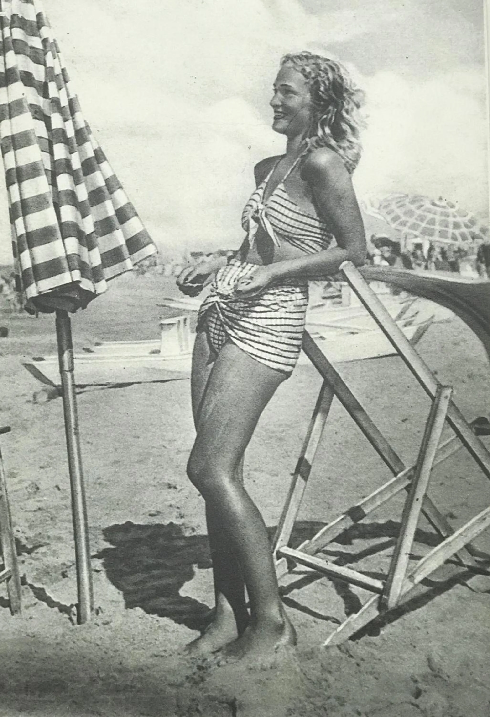 Decorative detail in Kristalex Pet Family Hotel