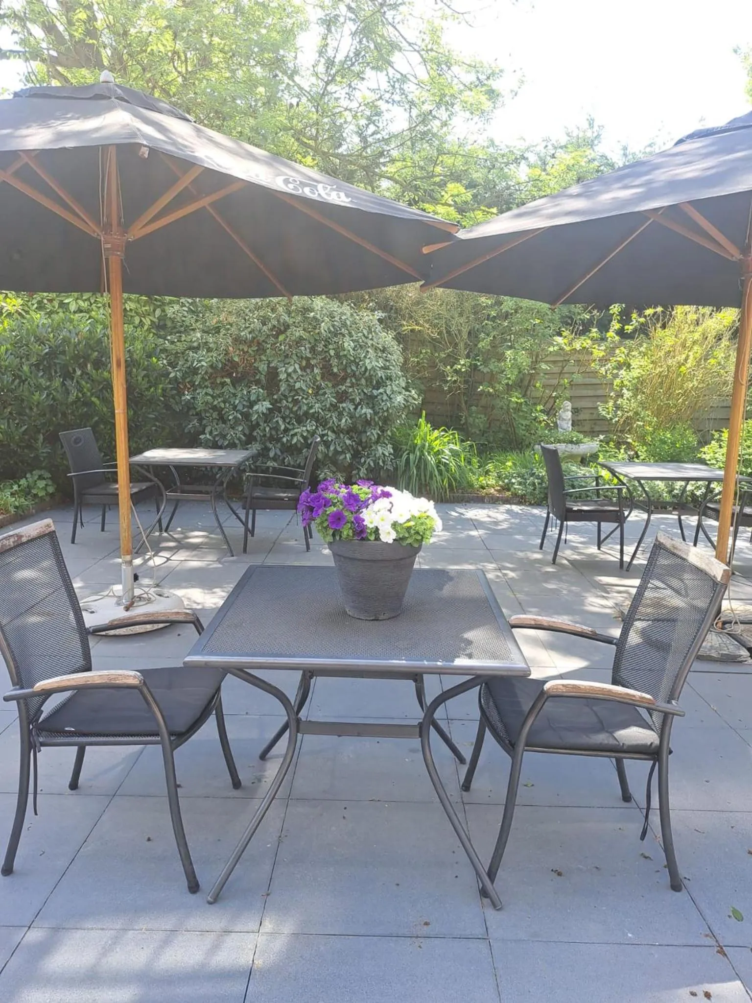 Garden in Hotel Randduin