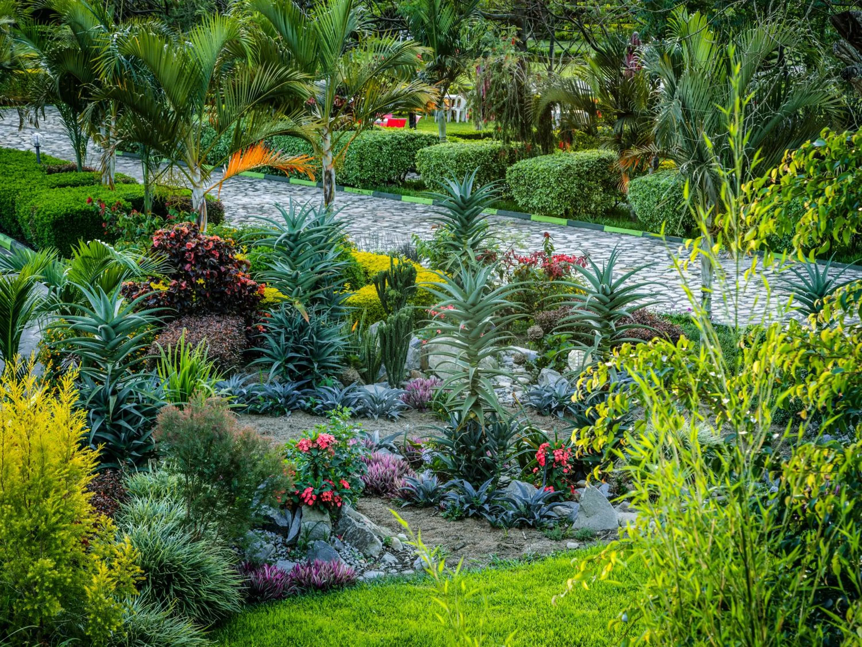 Bwizi Resort and Gardens