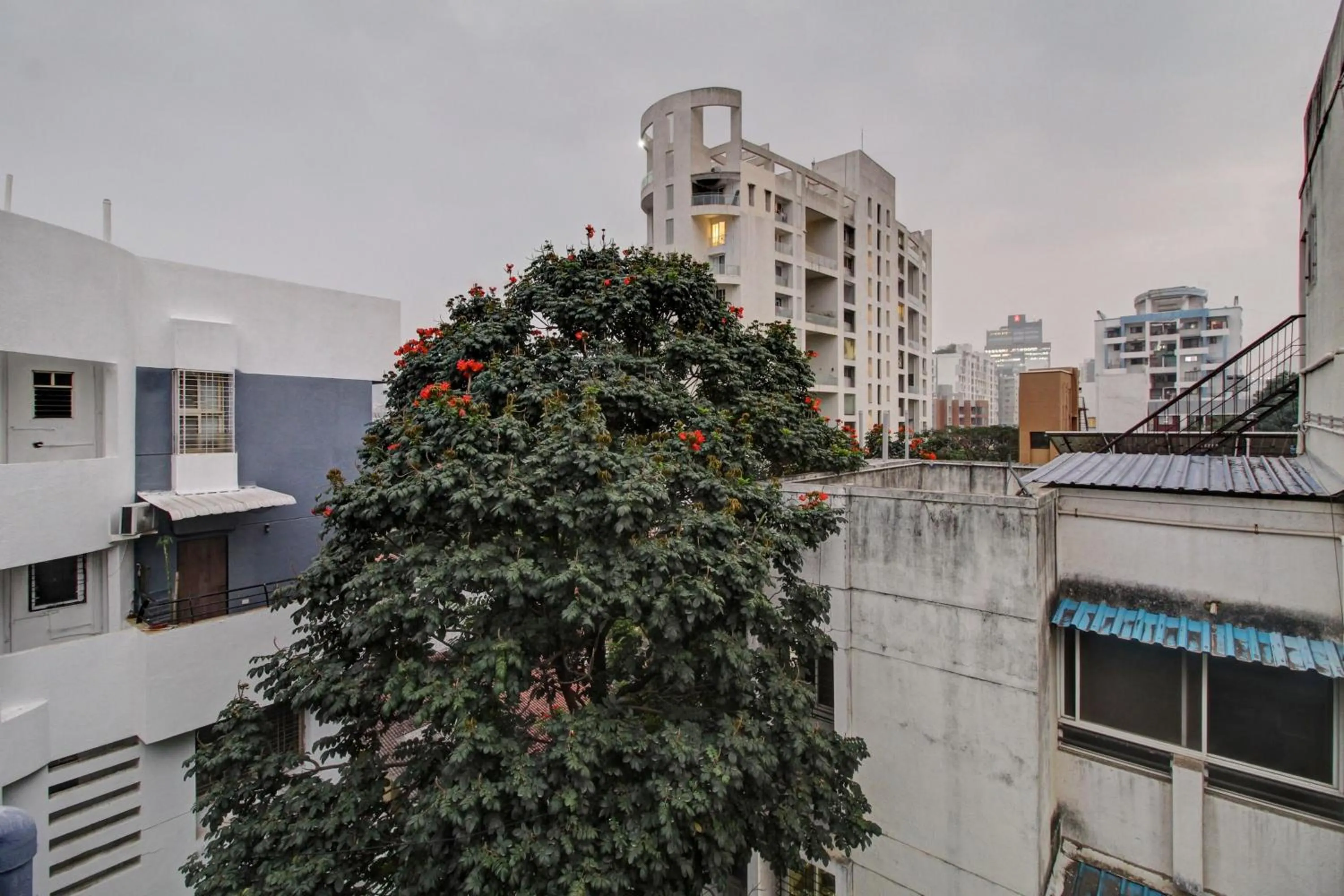 Other in Super Collection O Grey House