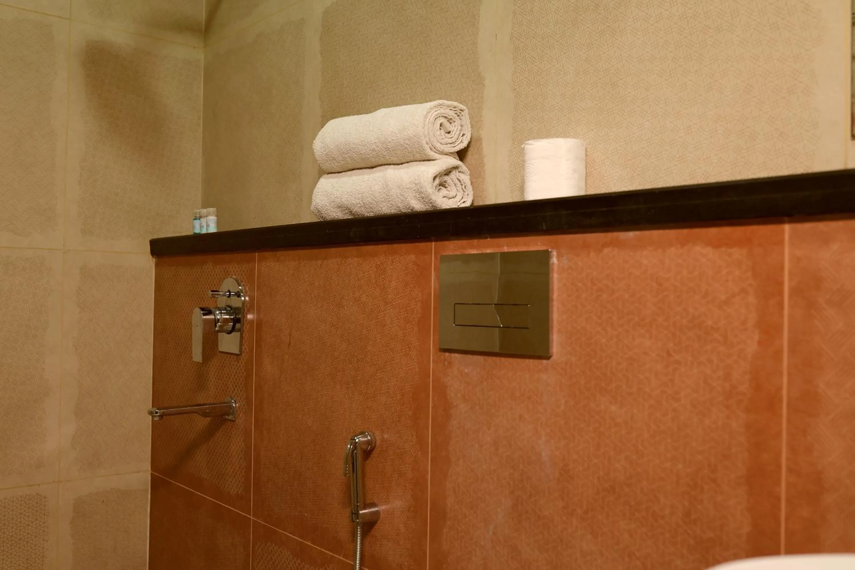 Bathroom in The Blue Vista