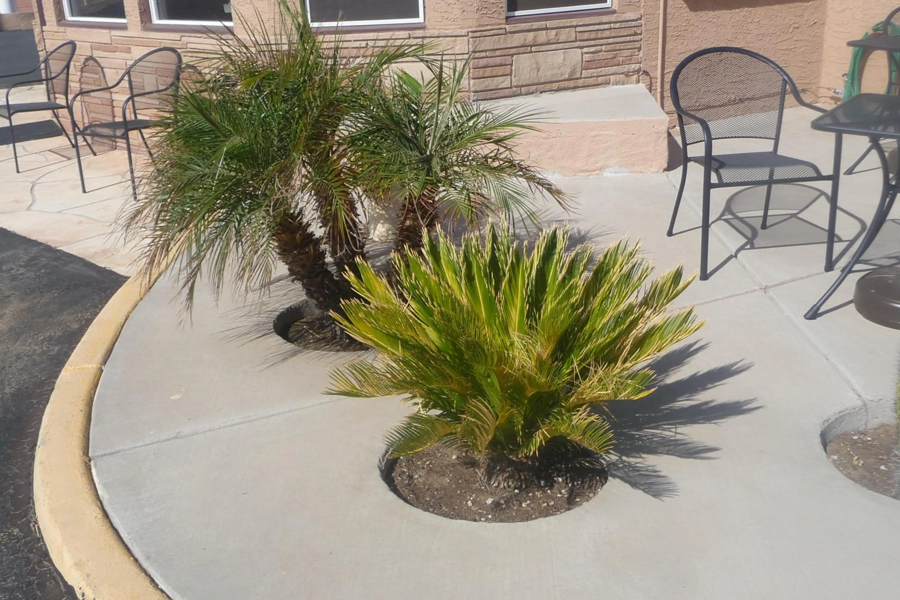 Patio in Palms Inn