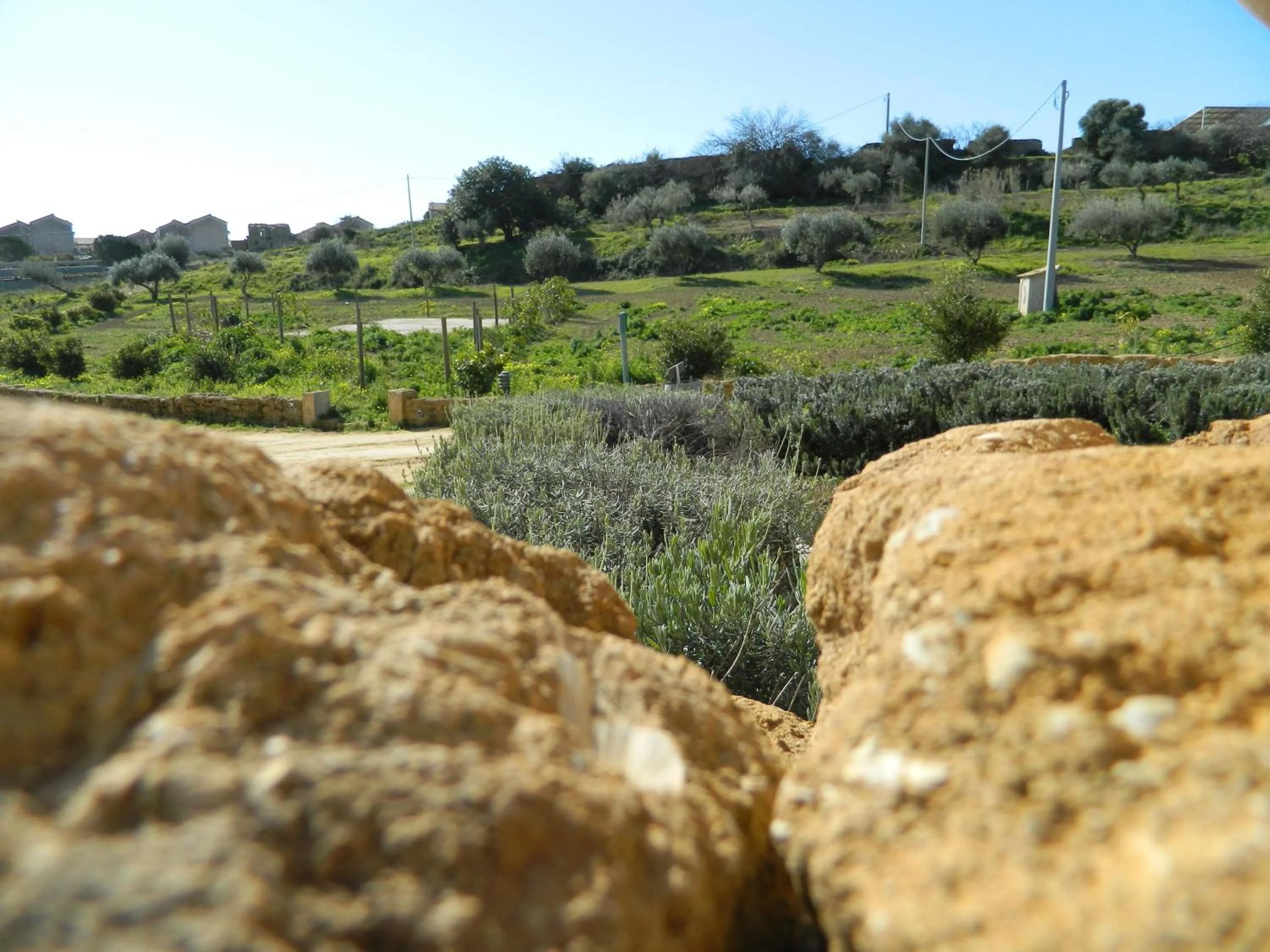 View (from property/room) in Agriturismo Passo dei Briganti