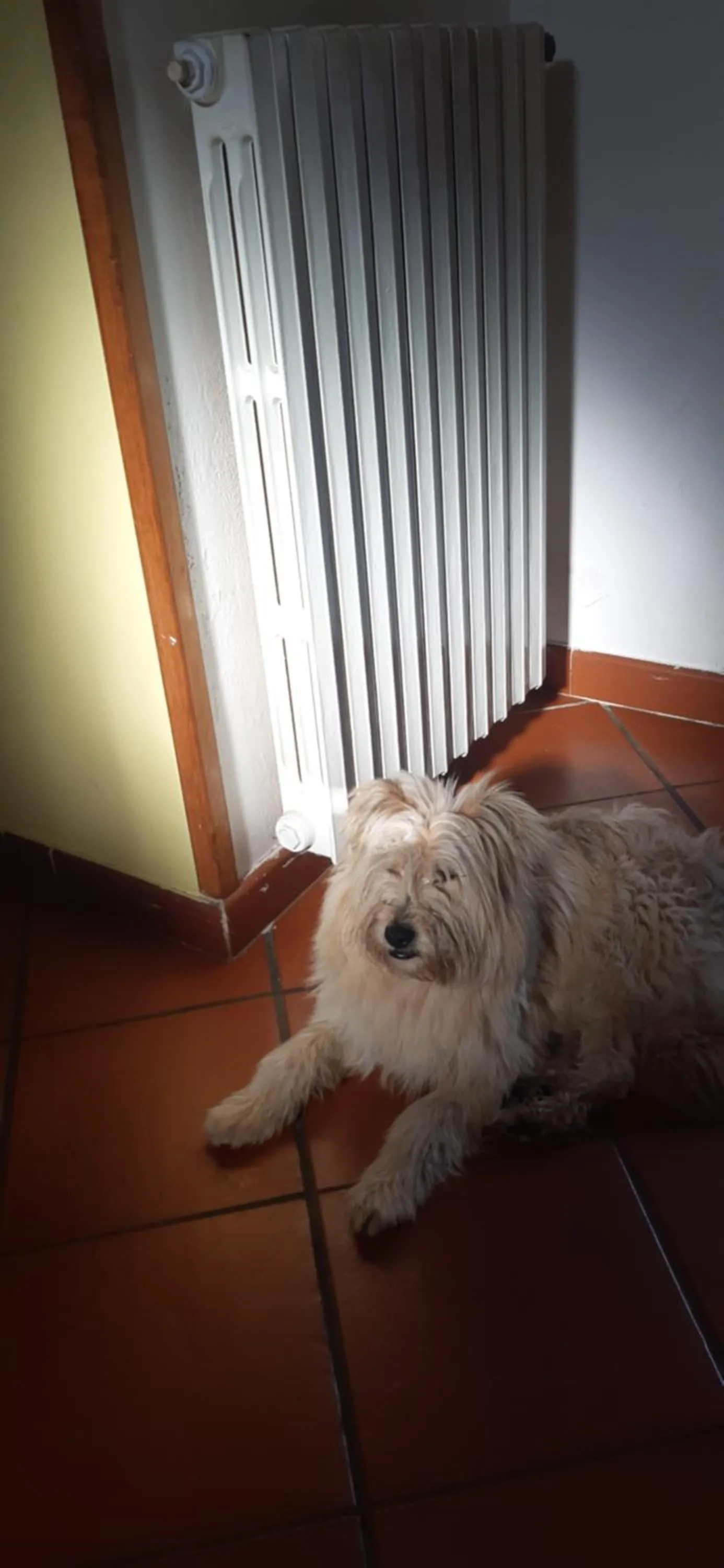 Pets in Agriturismo Mare e Monti